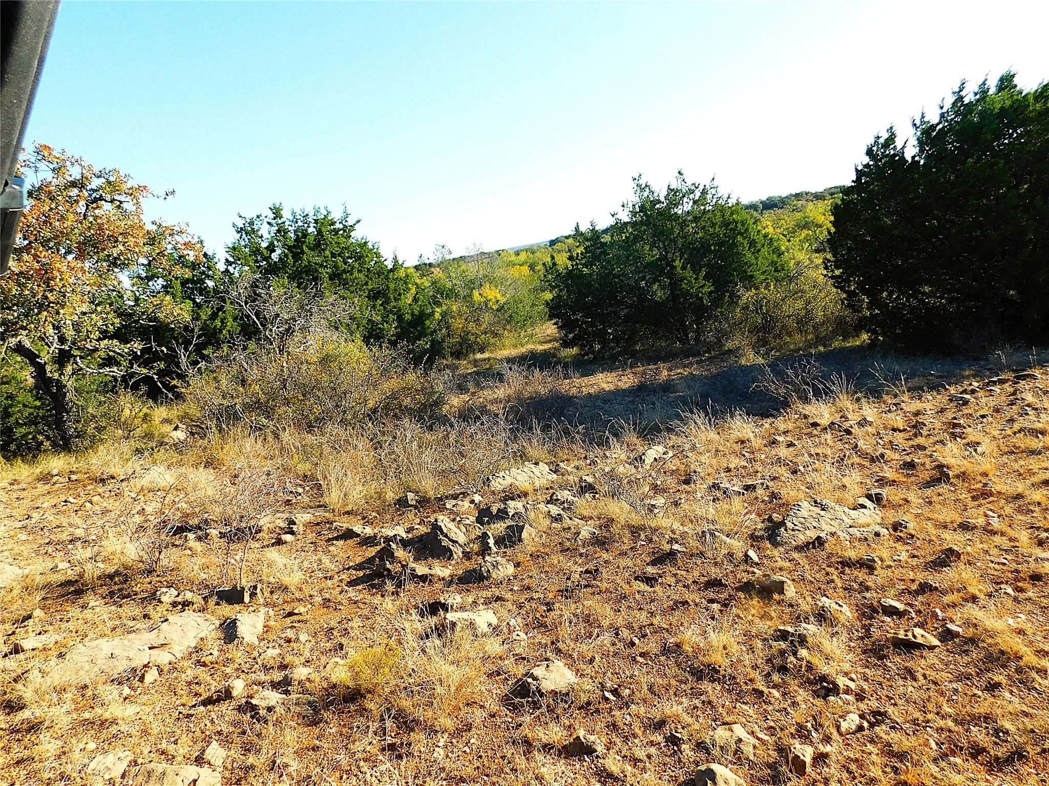 View of nature