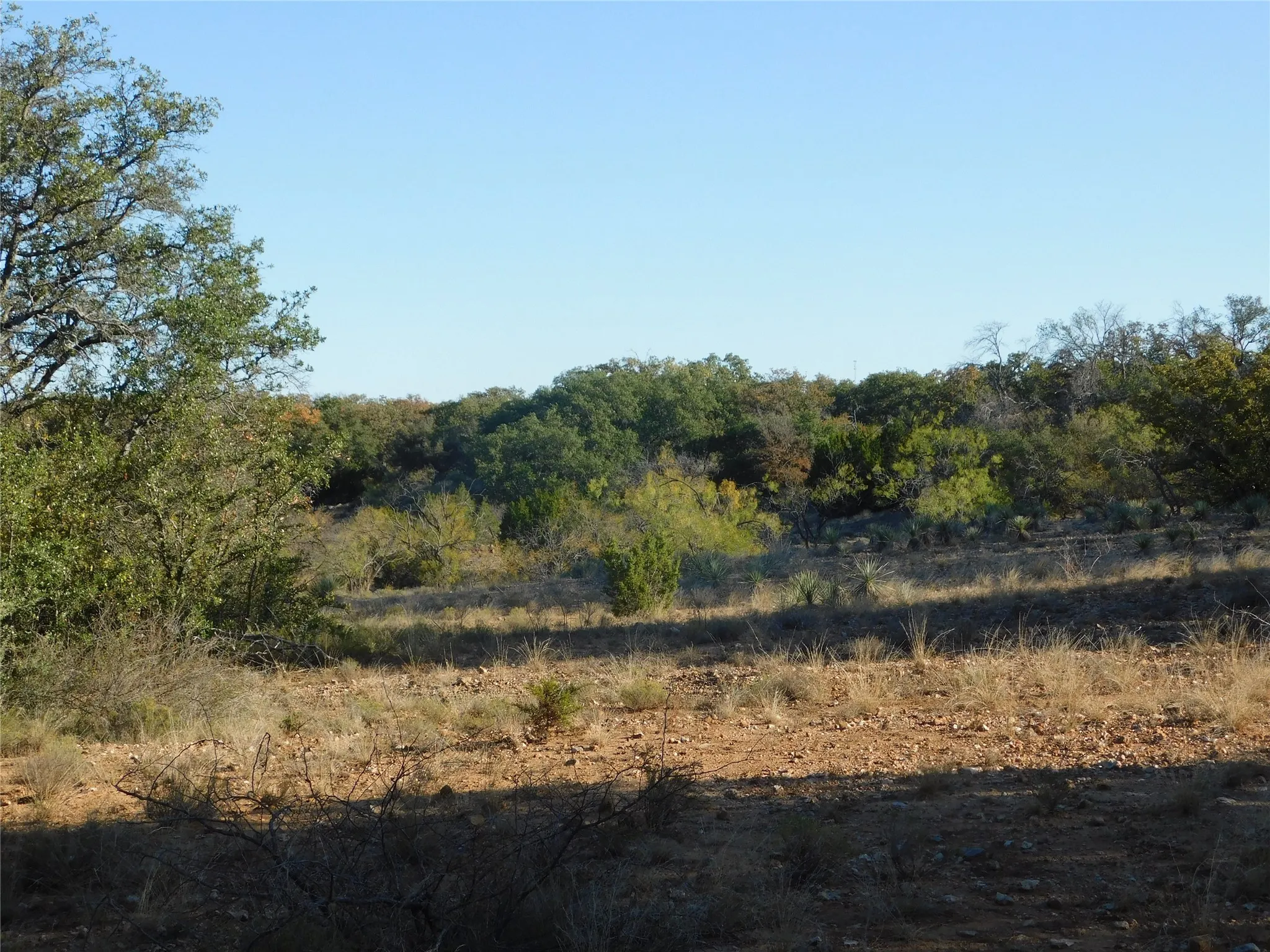View of local wilderness featuring rural landscape