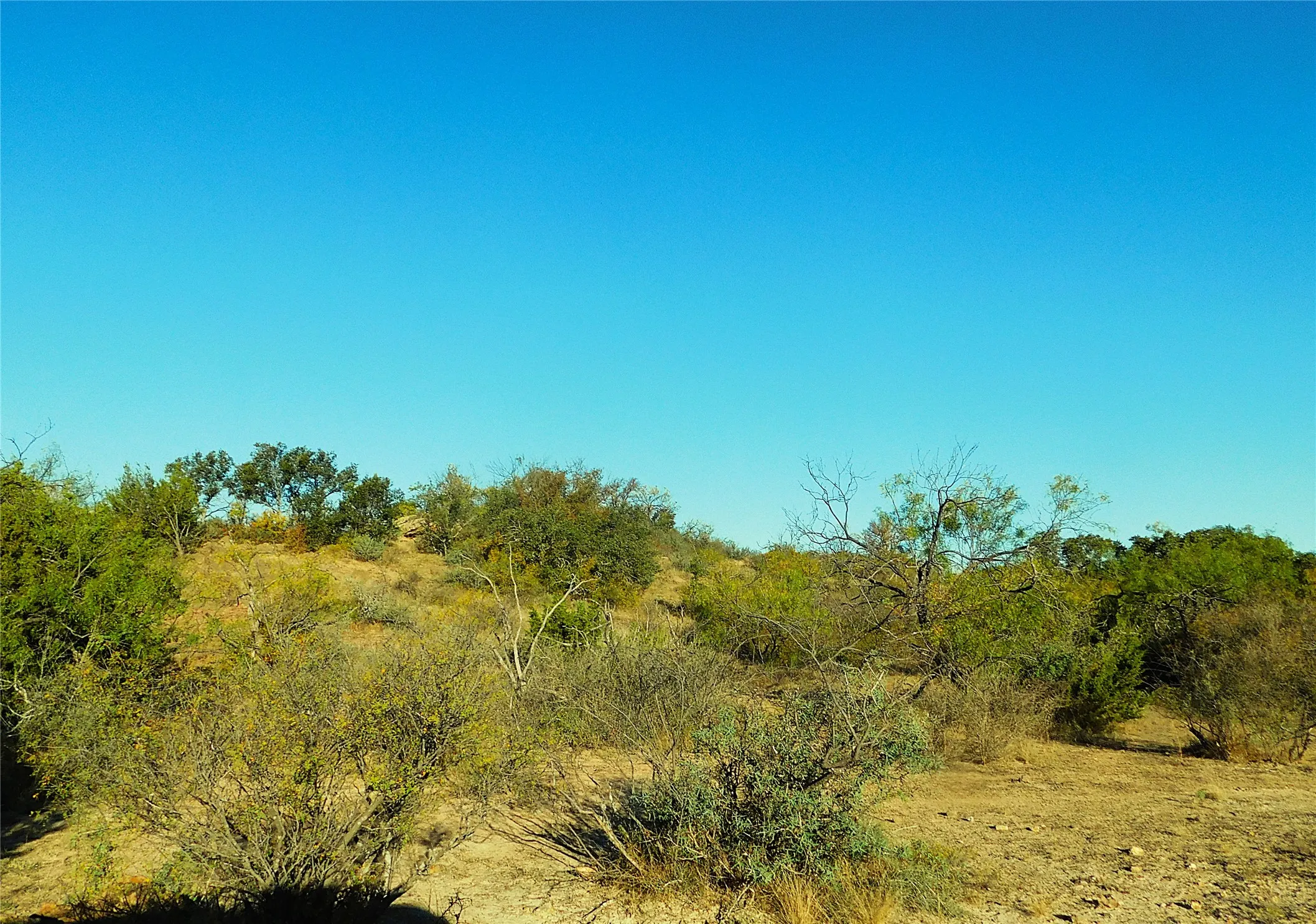 View of nature