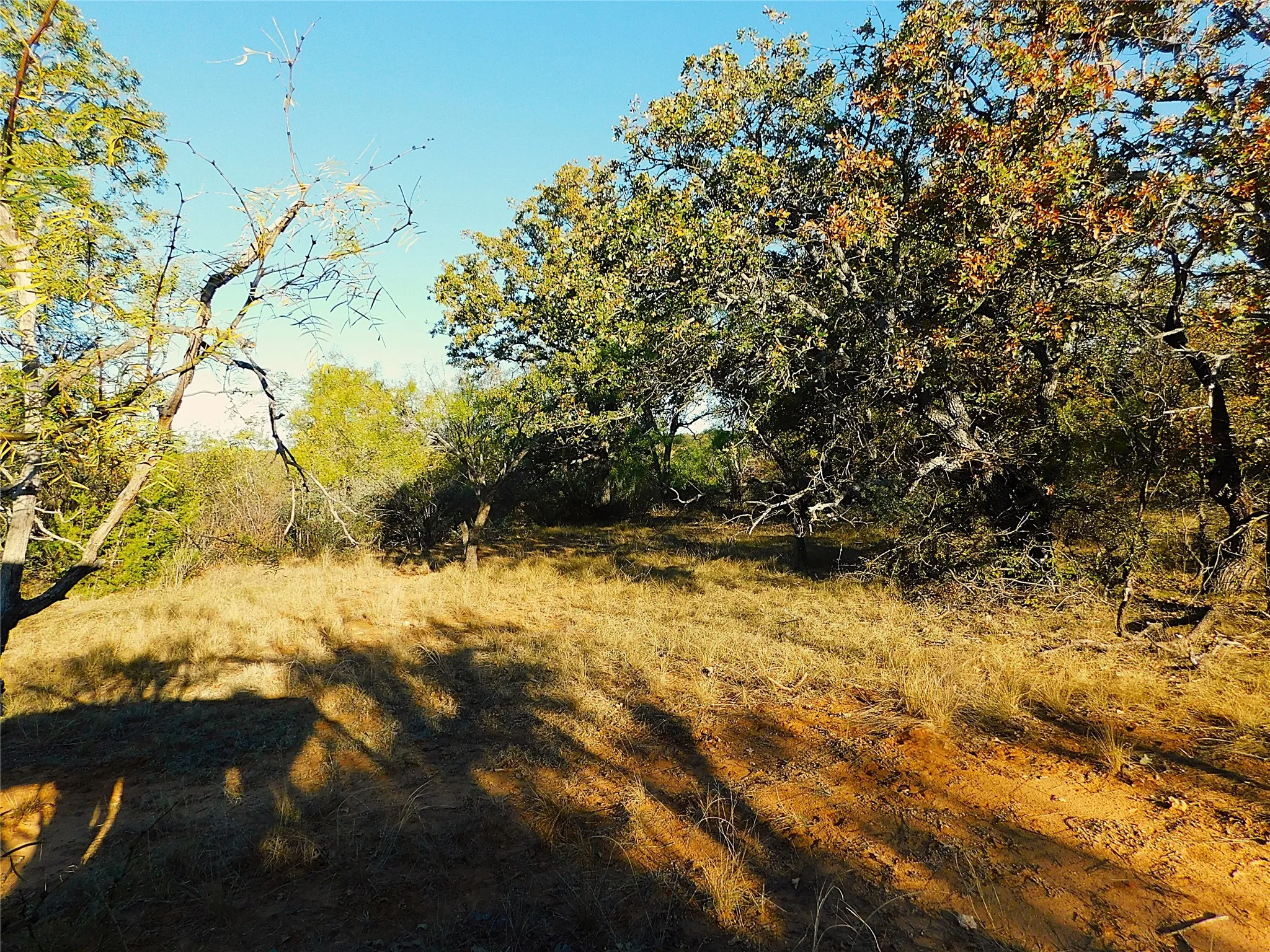 View of undeveloped land
