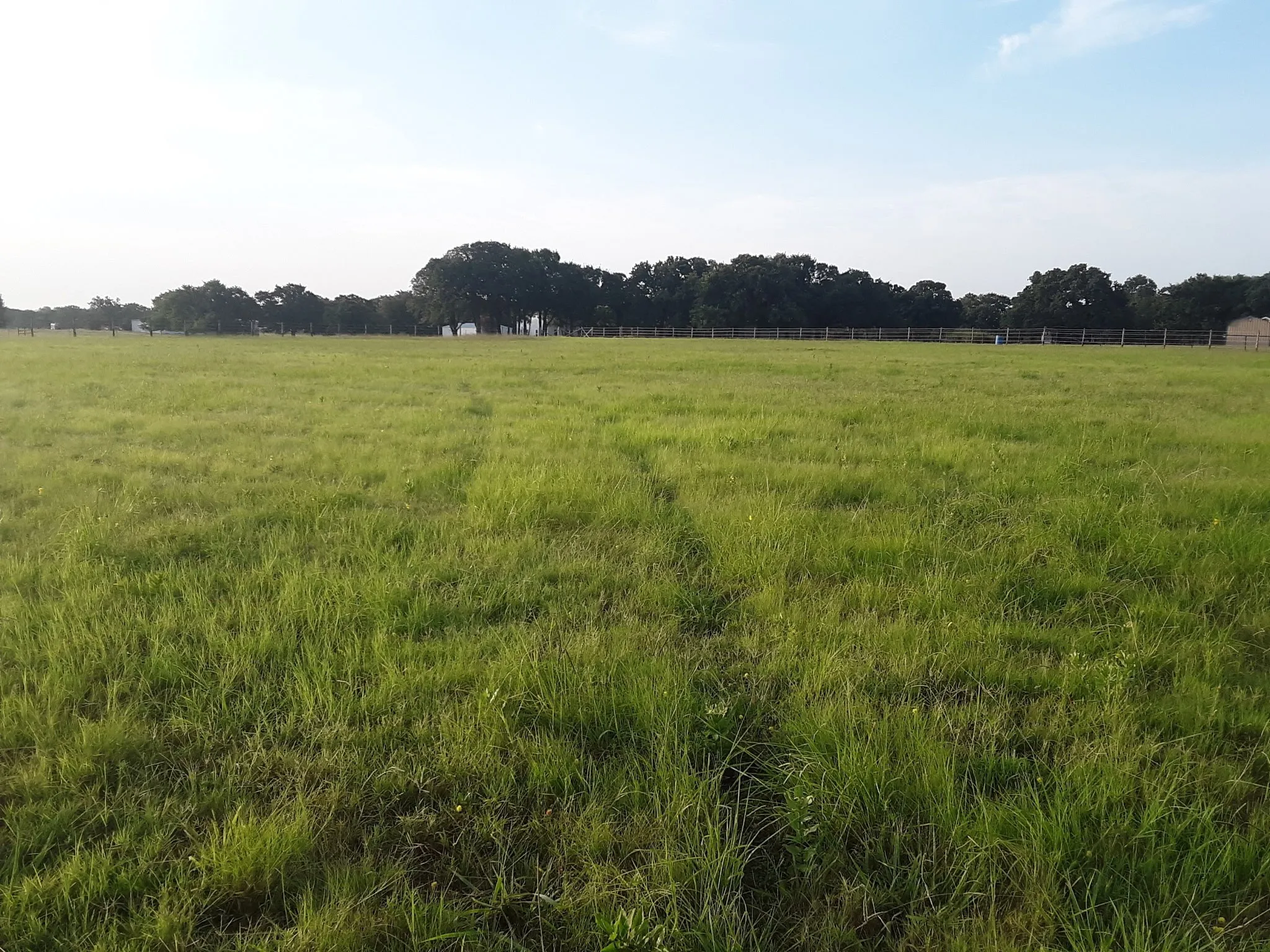 Ranch For Sale in Grayson County , 4113 W Line Road, Whitesboro, Texas 76273, 0, 0, Garage spaces, 0 Sqft, built in 2023, Price $675,000, mls#21109975, Real Estate Agent in Whitesboro, Homes For Sale in Grayson county, Homes For Sale in Whitesboro, Realtor in Whitesboro Texas, Real Estate Brokerage Independent Realty Texas, Luminita Cordes Realtor