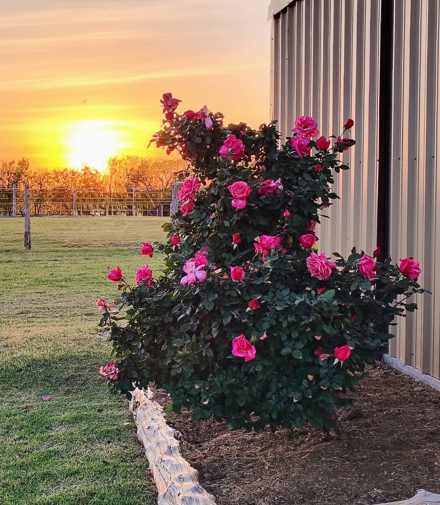 Ranch For Sale in Grayson County , 4113 W Line Road, Whitesboro, Texas 76273, 0, 0, Garage spaces, 0 Sqft, built in 2023, Price $675,000, mls#21109975, Real Estate Agent in Whitesboro, Homes For Sale in Grayson county, Homes For Sale in Whitesboro, Realtor in Whitesboro Texas, Real Estate Brokerage Independent Realty Texas, Luminita Cordes Realtor