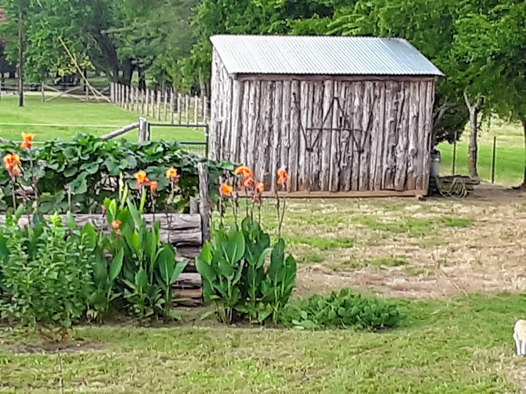 Ranch For Sale in Grayson County , 4113 W Line Road, Whitesboro, Texas 76273, 0, 0, Garage spaces, 0 Sqft, built in 2023, Price $675,000, mls#21109975, Real Estate Agent in Whitesboro, Homes For Sale in Grayson county, Homes For Sale in Whitesboro, Realtor in Whitesboro Texas, Real Estate Brokerage Independent Realty Texas, Luminita Cordes Realtor