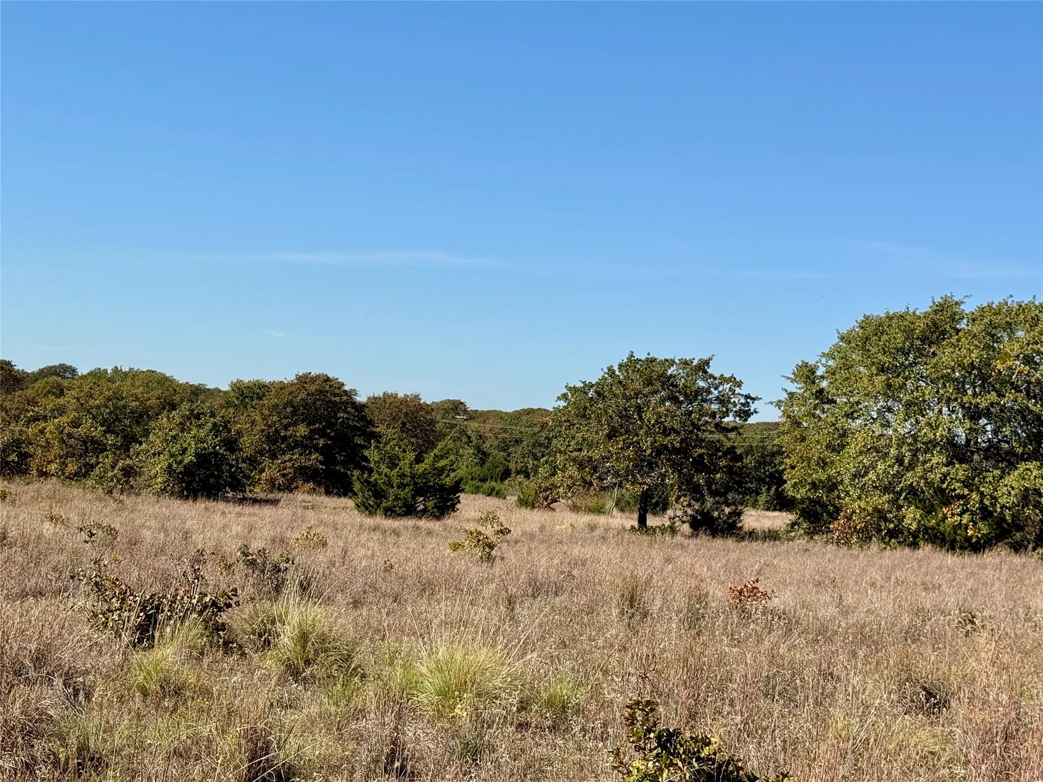 Improved Land For Sale in Montague County , 2753 Big Tree Road, Montague, Texas 76251, 0, 0, Garage spaces, 0 Sqft, built in 1960, Price $1,147,800, mls#21110770, Real Estate Agent in Montague, Homes For Sale in Montague county, Homes For Sale in Montague, Realtor in Montague Texas, Real Estate Brokerage Independent Realty Texas, Luminita Cordes Realtor