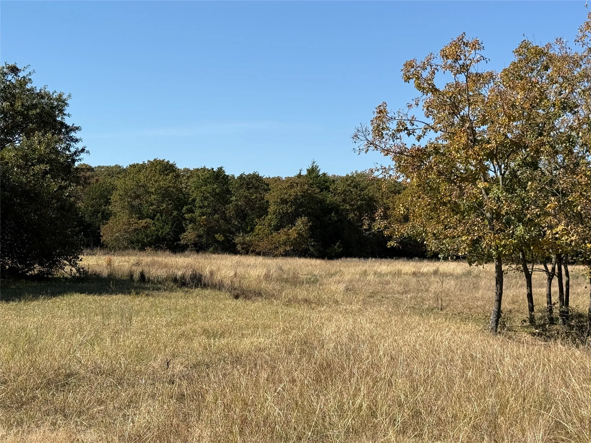 Improved Land For Sale in Montague County , 2753 Big Tree Road, Montague, Texas 76251, 0, 0, Garage spaces, 0 Sqft, built in 1960, Price $1,147,800, mls#21110770, Real Estate Agent in Montague, Homes For Sale in Montague county, Homes For Sale in Montague, Realtor in Montague Texas, Real Estate Brokerage Independent Realty Texas, Luminita Cordes Realtor