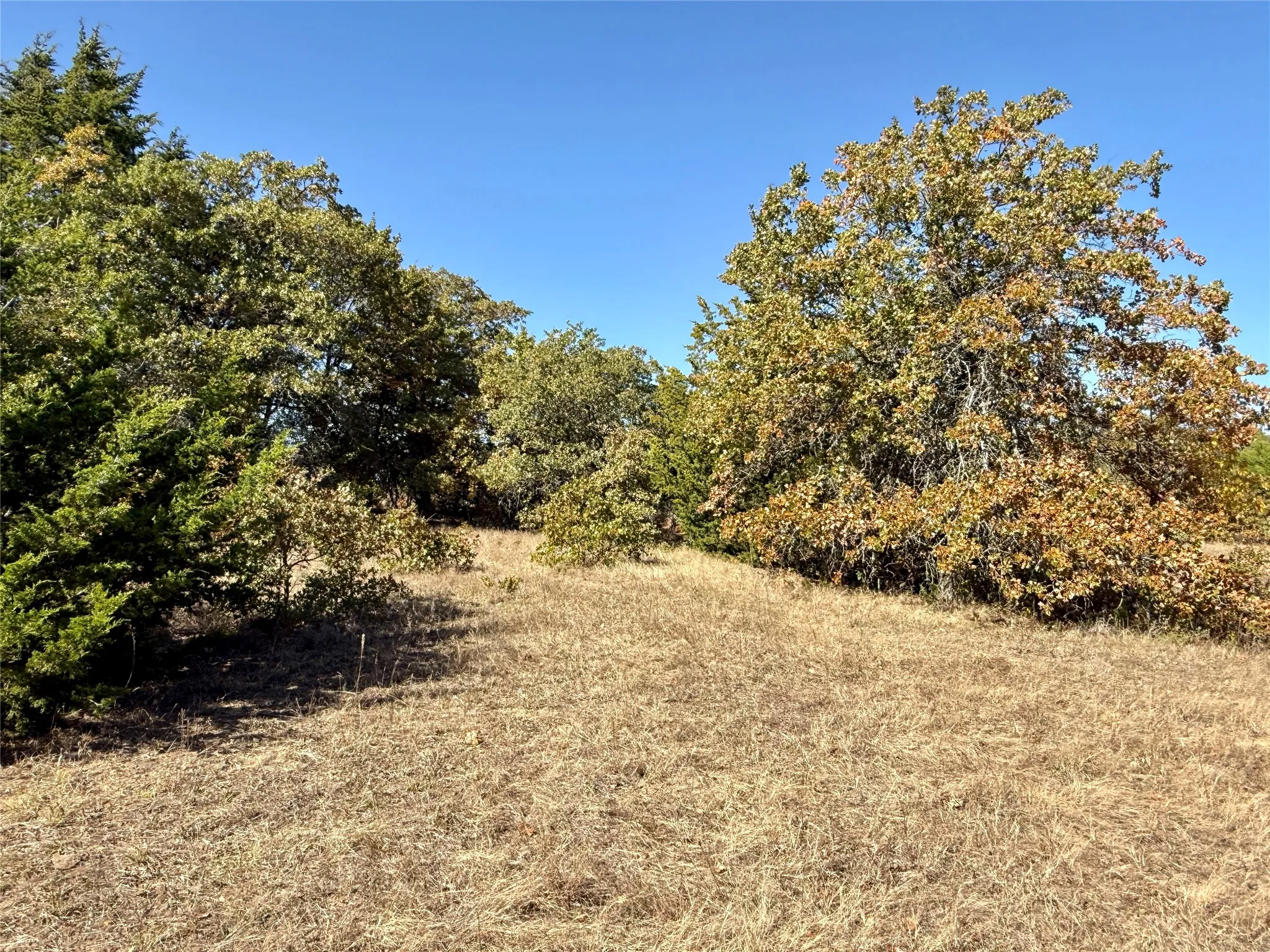 Improved Land For Sale in Montague County , 2753 Big Tree Road, Montague, Texas 76251, 0, 0, Garage spaces, 0 Sqft, built in 1960, Price $1,147,800, mls#21110770, Real Estate Agent in Montague, Homes For Sale in Montague county, Homes For Sale in Montague, Realtor in Montague Texas, Real Estate Brokerage Independent Realty Texas, Luminita Cordes Realtor