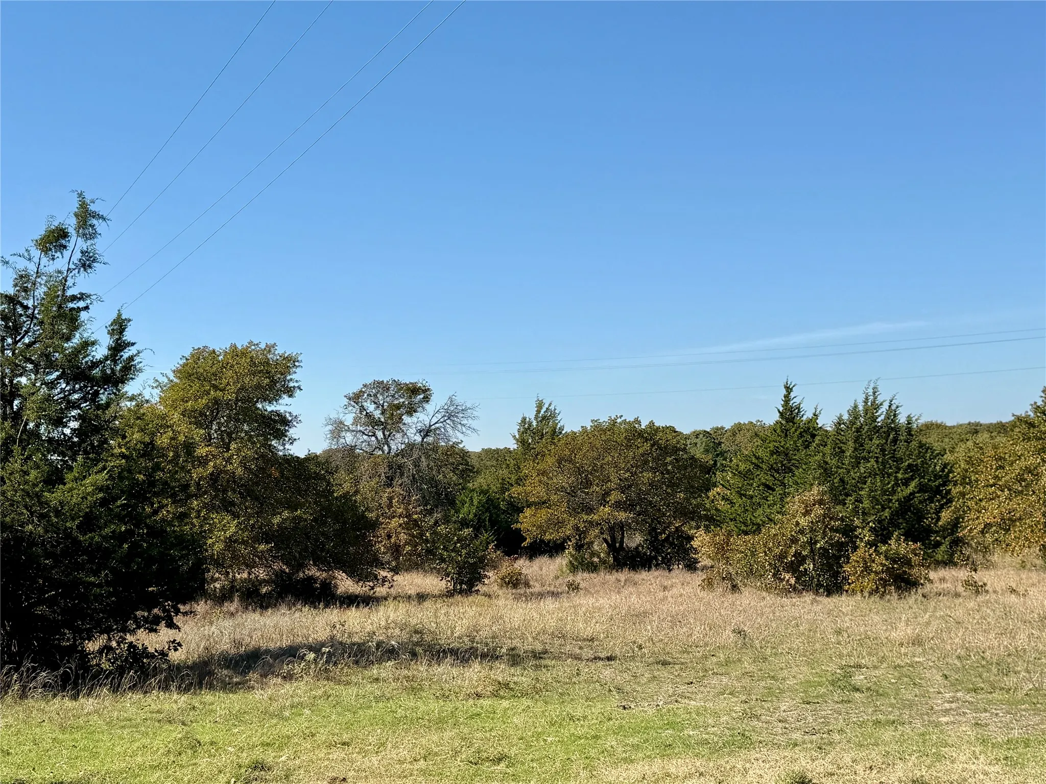 Improved Land For Sale in Montague County , 2753 Big Tree Road, Montague, Texas 76251, 0, 0, Garage spaces, 0 Sqft, built in 1960, Price $1,147,800, mls#21110770, Real Estate Agent in Montague, Homes For Sale in Montague county, Homes For Sale in Montague, Realtor in Montague Texas, Real Estate Brokerage Independent Realty Texas, Luminita Cordes Realtor