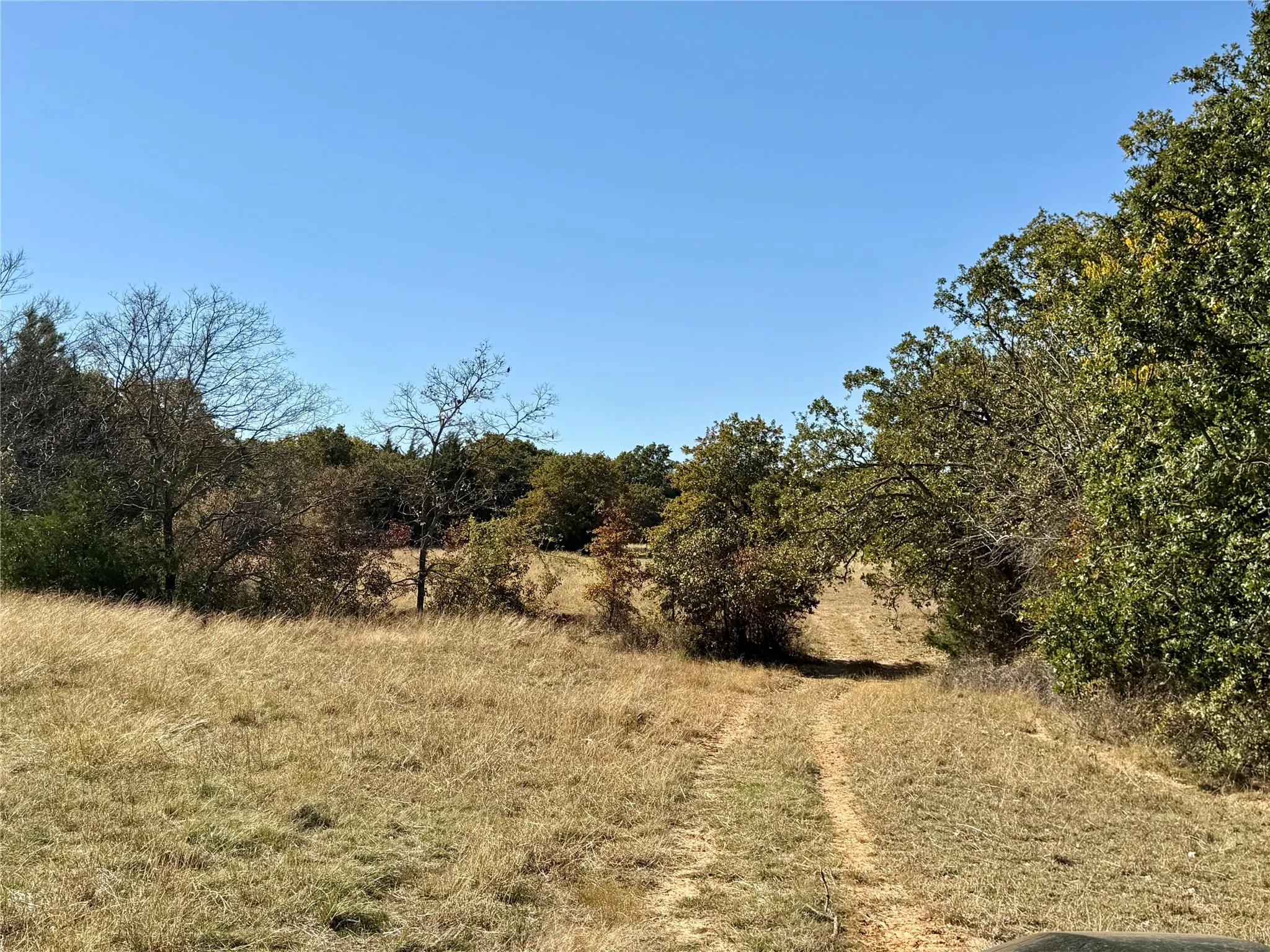 Improved Land For Sale in Montague County , 2753 Big Tree Road, Montague, Texas 76251, 0, 0, Garage spaces, 0 Sqft, built in 1960, Price $1,147,800, mls#21110770, Real Estate Agent in Montague, Homes For Sale in Montague county, Homes For Sale in Montague, Realtor in Montague Texas, Real Estate Brokerage Independent Realty Texas, Luminita Cordes Realtor