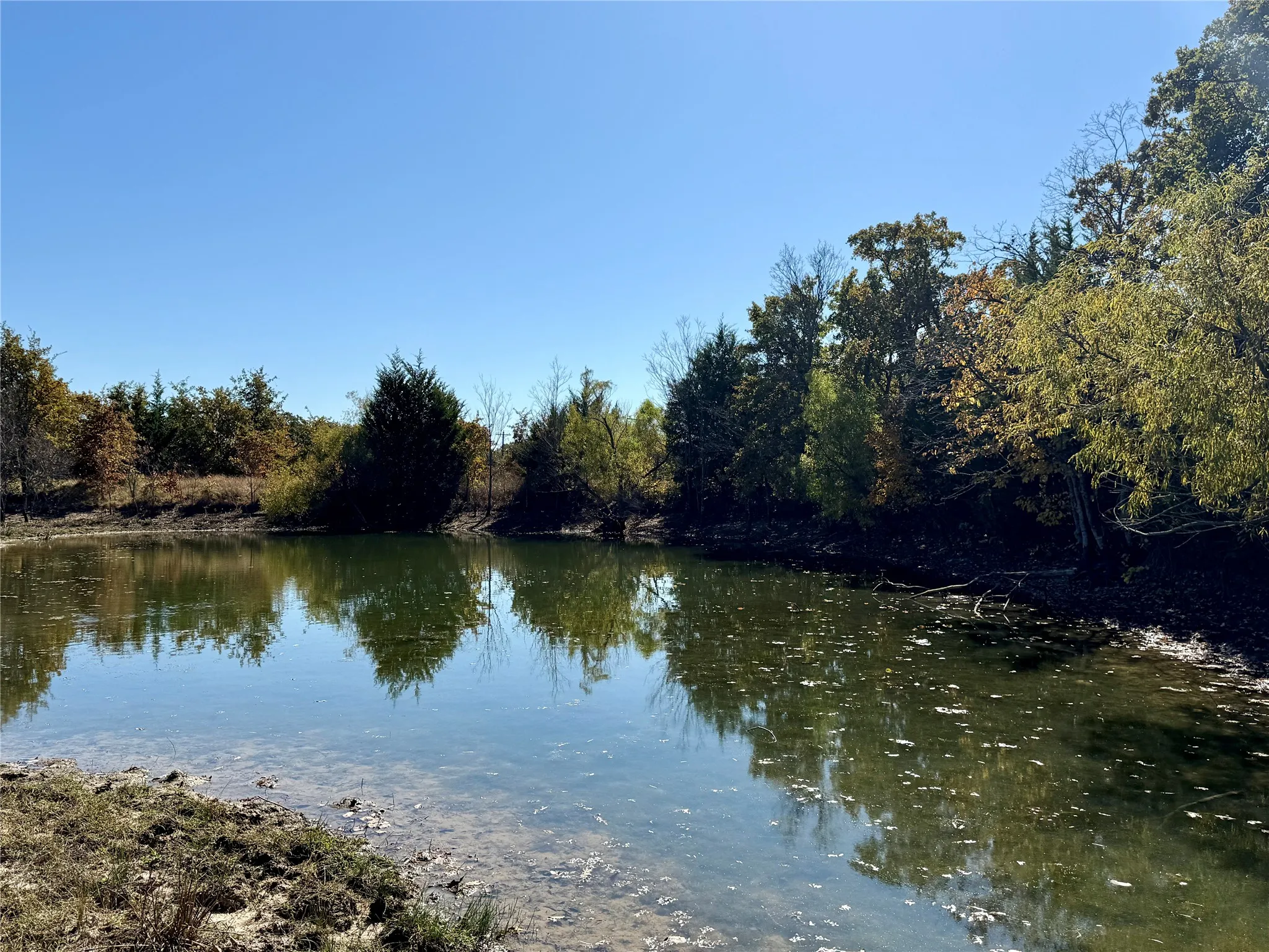 Improved Land For Sale in Montague County , 2753 Big Tree Road, Montague, Texas 76251, 0, 0, Garage spaces, 0 Sqft, built in 1960, Price $1,147,800, mls#21110770, Real Estate Agent in Montague, Homes For Sale in Montague county, Homes For Sale in Montague, Realtor in Montague Texas, Real Estate Brokerage Independent Realty Texas, Luminita Cordes Realtor