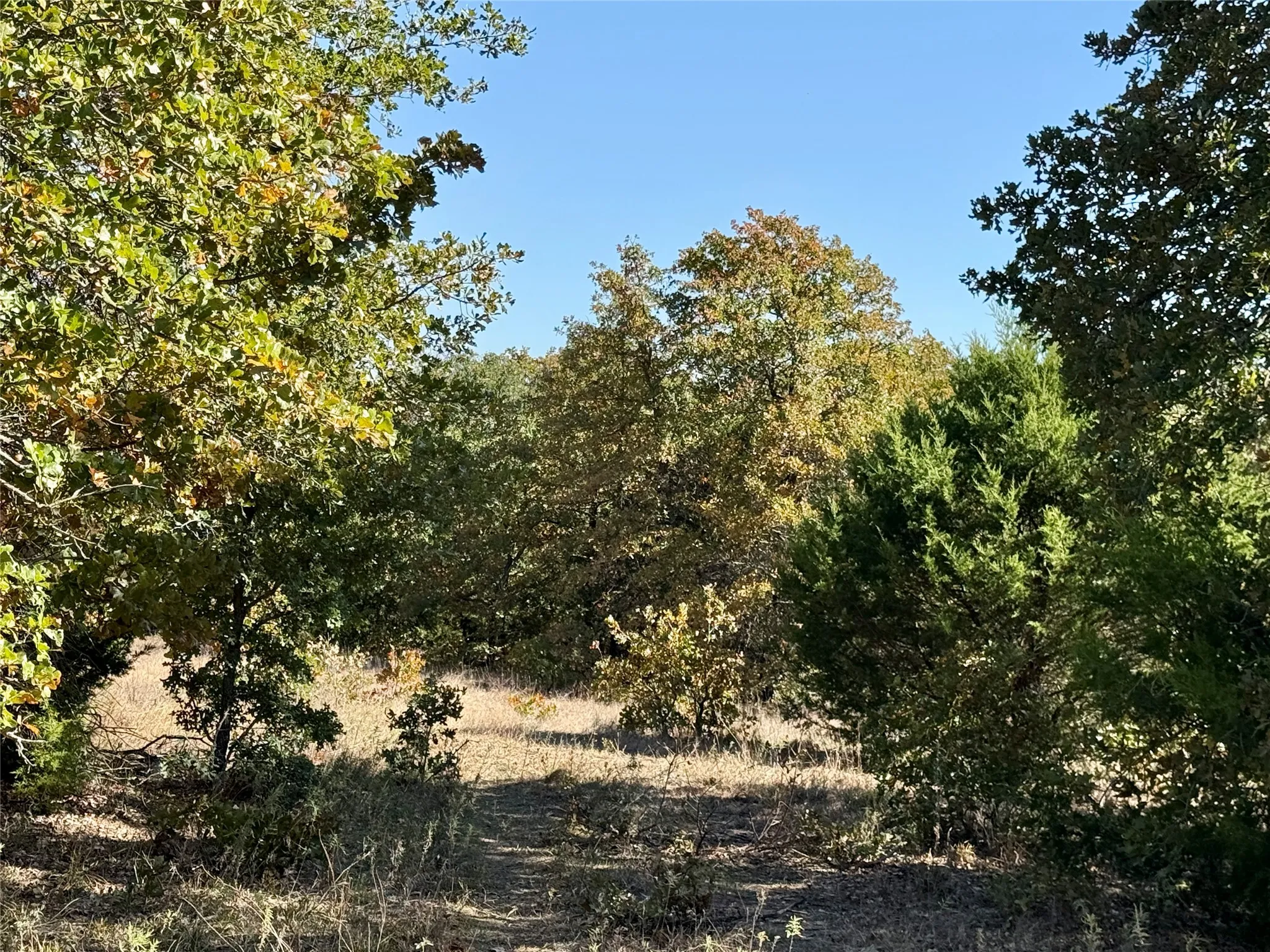 Improved Land For Sale in Montague County , 2753 Big Tree Road, Montague, Texas 76251, 0, 0, Garage spaces, 0 Sqft, built in 1960, Price $1,147,800, mls#21110770, Real Estate Agent in Montague, Homes For Sale in Montague county, Homes For Sale in Montague, Realtor in Montague Texas, Real Estate Brokerage Independent Realty Texas, Luminita Cordes Realtor