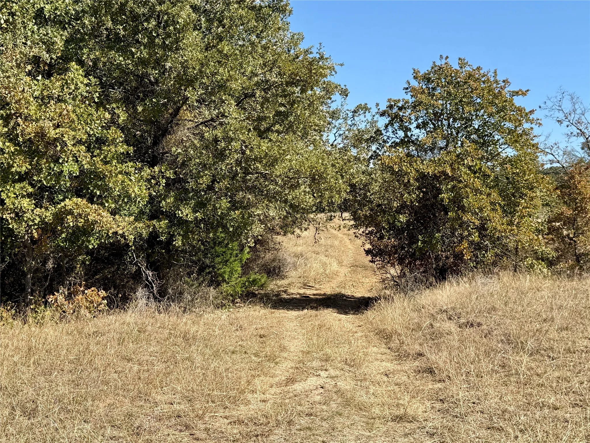 Improved Land For Sale in Montague County , 2753 Big Tree Road, Montague, Texas 76251, 0, 0, Garage spaces, 0 Sqft, built in 1960, Price $1,147,800, mls#21110770, Real Estate Agent in Montague, Homes For Sale in Montague county, Homes For Sale in Montague, Realtor in Montague Texas, Real Estate Brokerage Independent Realty Texas, Luminita Cordes Realtor