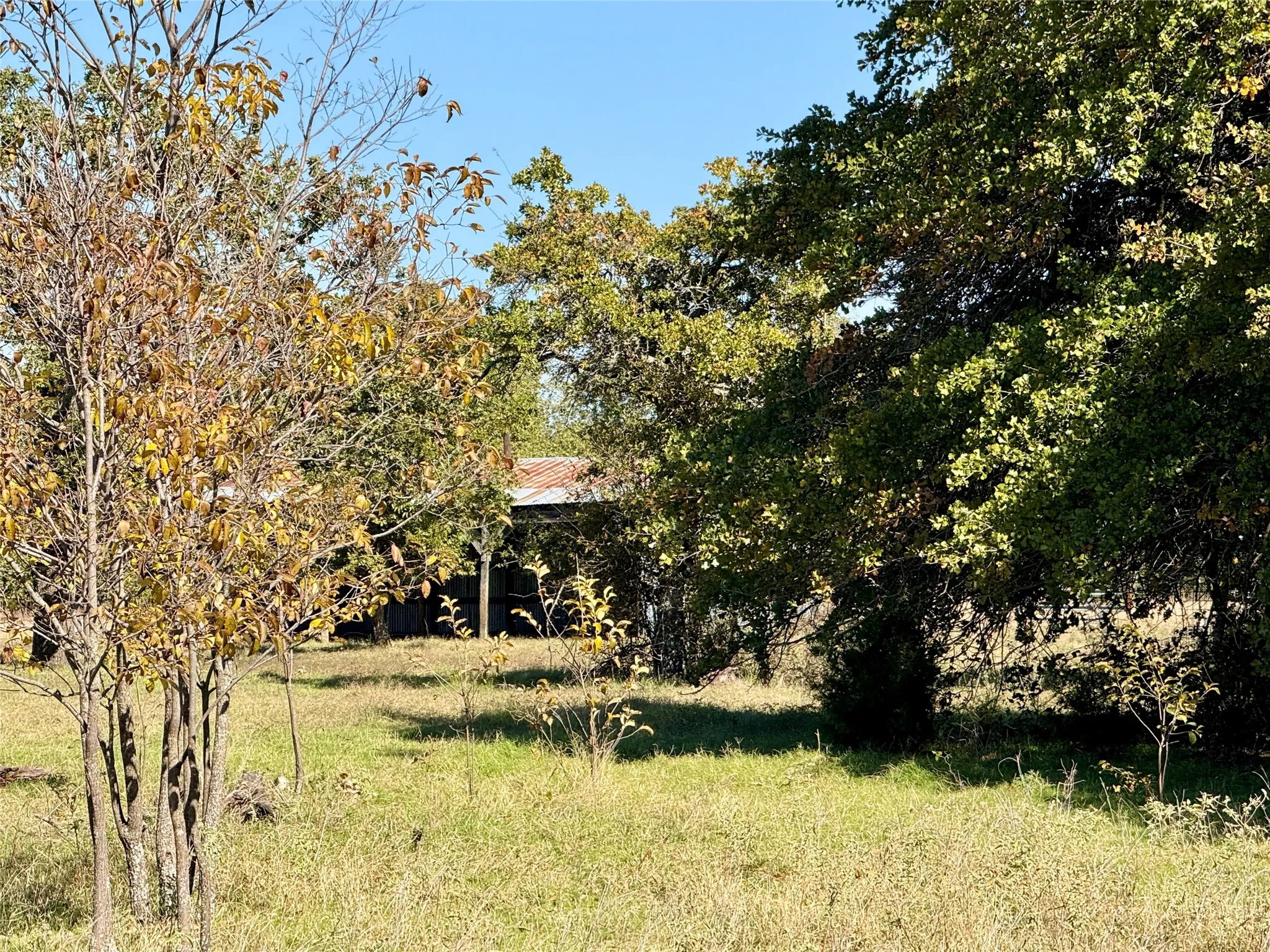 Improved Land For Sale in Montague County , 2753 Big Tree Road, Montague, Texas 76251, 0, 0, Garage spaces, 0 Sqft, built in 1960, Price $1,147,800, mls#21110770, Real Estate Agent in Montague, Homes For Sale in Montague county, Homes For Sale in Montague, Realtor in Montague Texas, Real Estate Brokerage Independent Realty Texas, Luminita Cordes Realtor