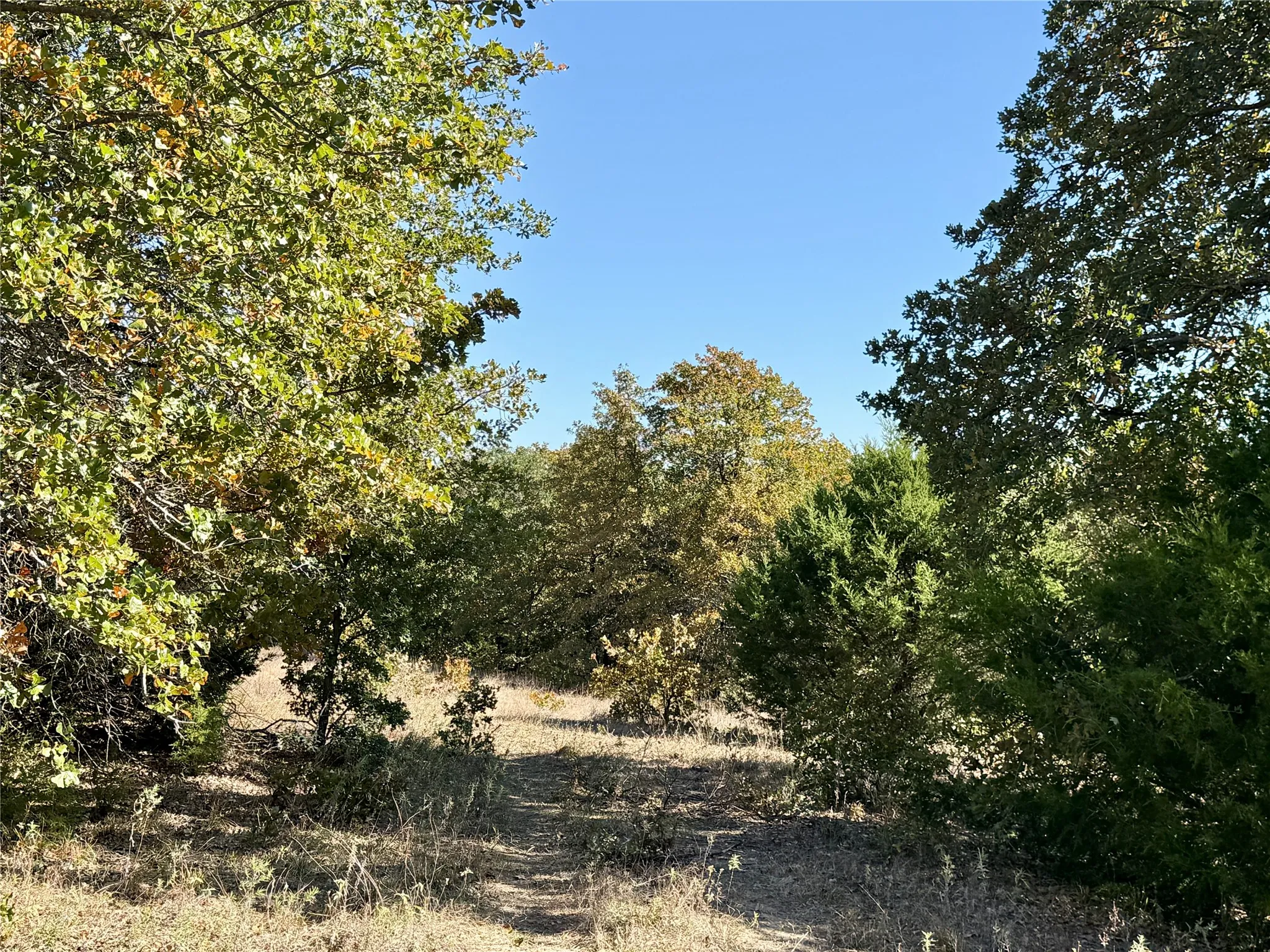 Improved Land For Sale in Montague County , 2753 Big Tree Road, Montague, Texas 76251, 0, 0, Garage spaces, 0 Sqft, built in 1960, Price $1,147,800, mls#21110770, Real Estate Agent in Montague, Homes For Sale in Montague county, Homes For Sale in Montague, Realtor in Montague Texas, Real Estate Brokerage Independent Realty Texas, Luminita Cordes Realtor