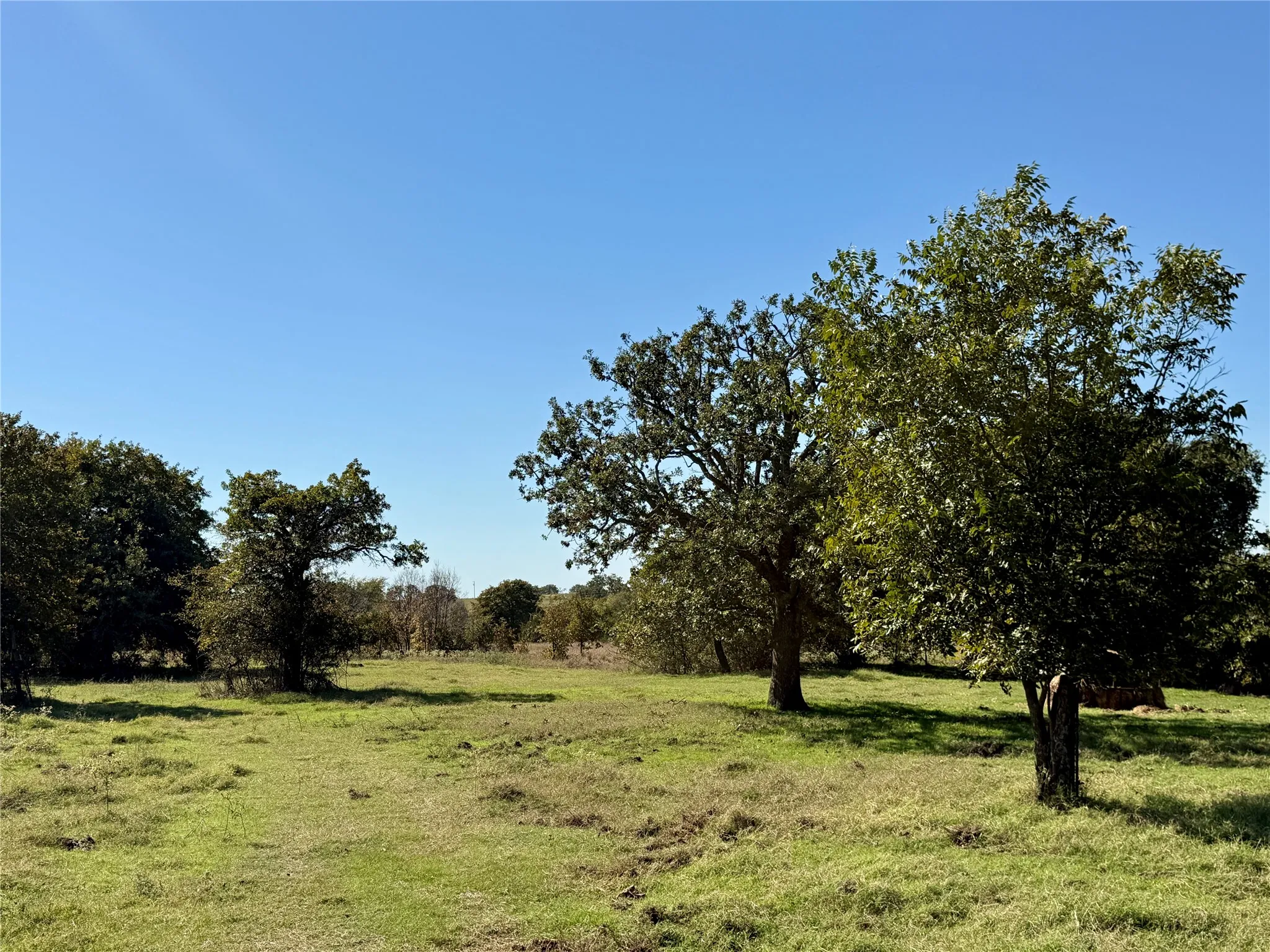 Improved Land For Sale in Montague County , 2753 Big Tree Road, Montague, Texas 76251, 0, 0, Garage spaces, 0 Sqft, built in 1960, Price $1,147,800, mls#21110770, Real Estate Agent in Montague, Homes For Sale in Montague county, Homes For Sale in Montague, Realtor in Montague Texas, Real Estate Brokerage Independent Realty Texas, Luminita Cordes Realtor
