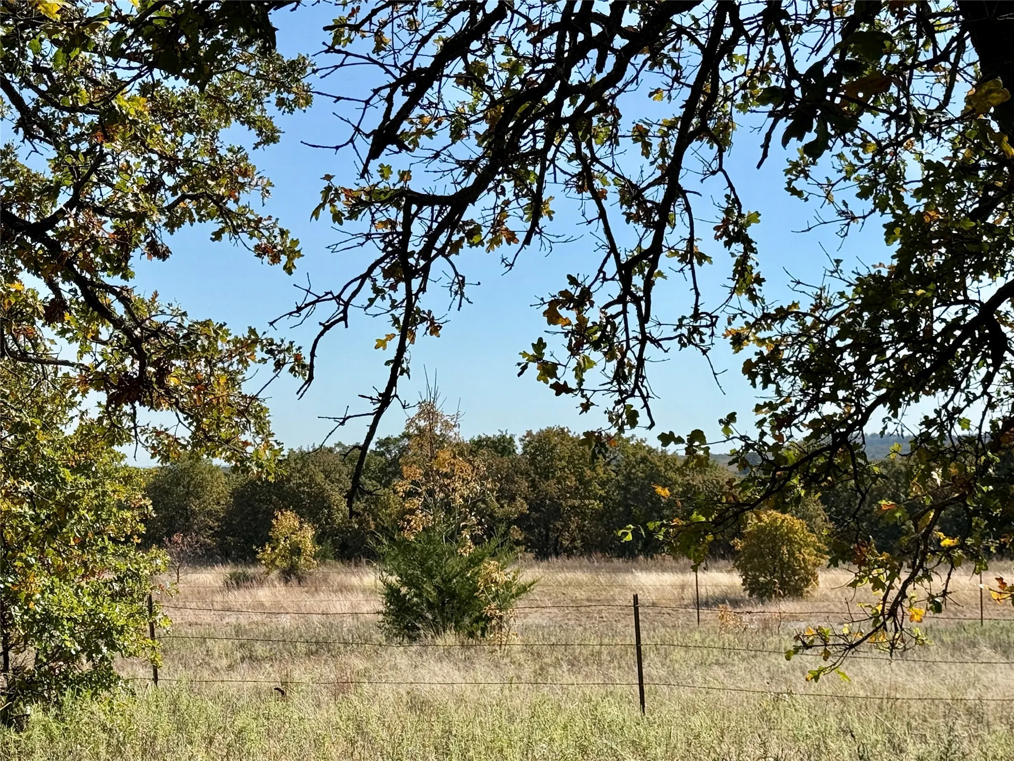 Improved Land For Sale in Montague County , 2753 Big Tree Road, Montague, Texas 76251, 0, 0, Garage spaces, 0 Sqft, built in 1960, Price $1,147,800, mls#21110770, Real Estate Agent in Montague, Homes For Sale in Montague county, Homes For Sale in Montague, Realtor in Montague Texas, Real Estate Brokerage Independent Realty Texas, Luminita Cordes Realtor