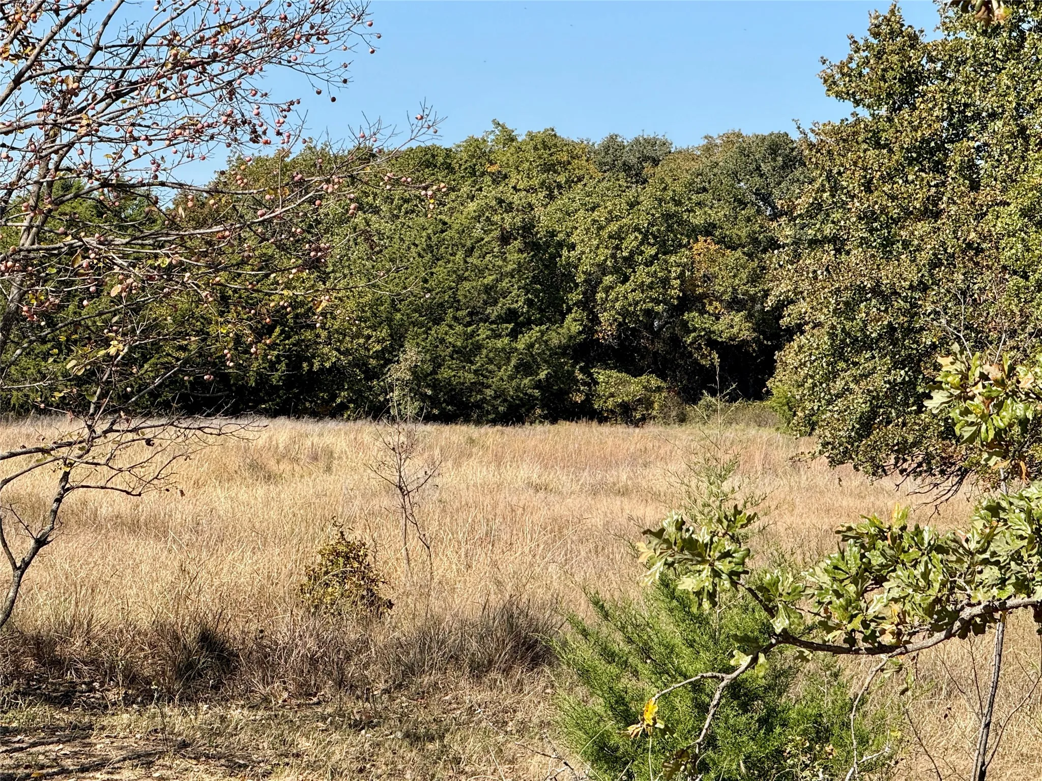 Improved Land For Sale in Montague County , 2753 Big Tree Road, Montague, Texas 76251, 0, 0, Garage spaces, 0 Sqft, built in 1960, Price $1,147,800, mls#21110770, Real Estate Agent in Montague, Homes For Sale in Montague county, Homes For Sale in Montague, Realtor in Montague Texas, Real Estate Brokerage Independent Realty Texas, Luminita Cordes Realtor