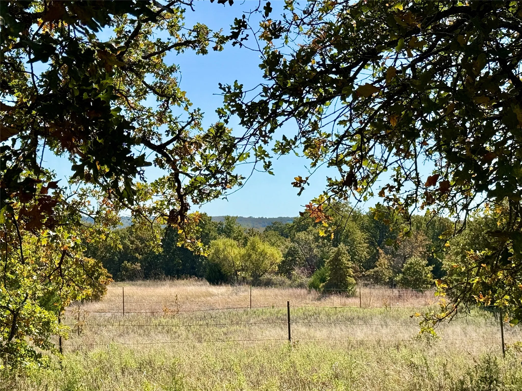 Improved Land For Sale in Montague County , 2753 Big Tree Road, Montague, Texas 76251, 0, 0, Garage spaces, 0 Sqft, built in 1960, Price $1,147,800, mls#21110770, Real Estate Agent in Montague, Homes For Sale in Montague county, Homes For Sale in Montague, Realtor in Montague Texas, Real Estate Brokerage Independent Realty Texas, Luminita Cordes Realtor