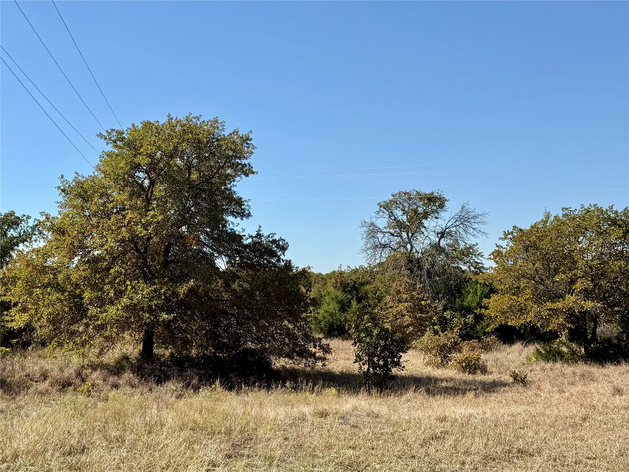 Improved Land For Sale in Montague County , 2753 Big Tree Road, Montague, Texas 76251, 0, 0, Garage spaces, 0 Sqft, built in 1960, Price $1,147,800, mls#21110770, Real Estate Agent in Montague, Homes For Sale in Montague county, Homes For Sale in Montague, Realtor in Montague Texas, Real Estate Brokerage Independent Realty Texas, Luminita Cordes Realtor