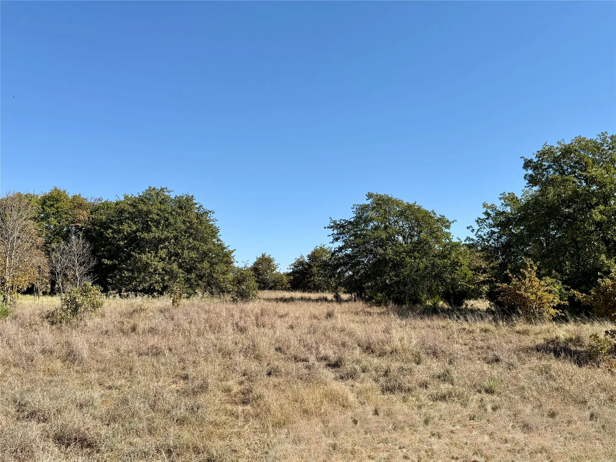 Improved Land For Sale in Montague County , 2753 Big Tree Road, Montague, Texas 76251, 0, 0, Garage spaces, 0 Sqft, built in 1960, Price $1,147,800, mls#21110770, Real Estate Agent in Montague, Homes For Sale in Montague county, Homes For Sale in Montague, Realtor in Montague Texas, Real Estate Brokerage Independent Realty Texas, Luminita Cordes Realtor