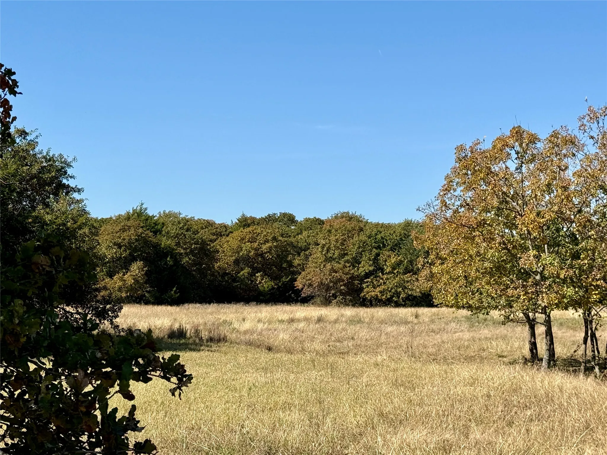 Improved Land For Sale in Montague County , 2753 Big Tree Road, Montague, Texas 76251, 0, 0, Garage spaces, 0 Sqft, built in 1960, Price $1,147,800, mls#21110770, Real Estate Agent in Montague, Homes For Sale in Montague county, Homes For Sale in Montague, Realtor in Montague Texas, Real Estate Brokerage Independent Realty Texas, Luminita Cordes Realtor