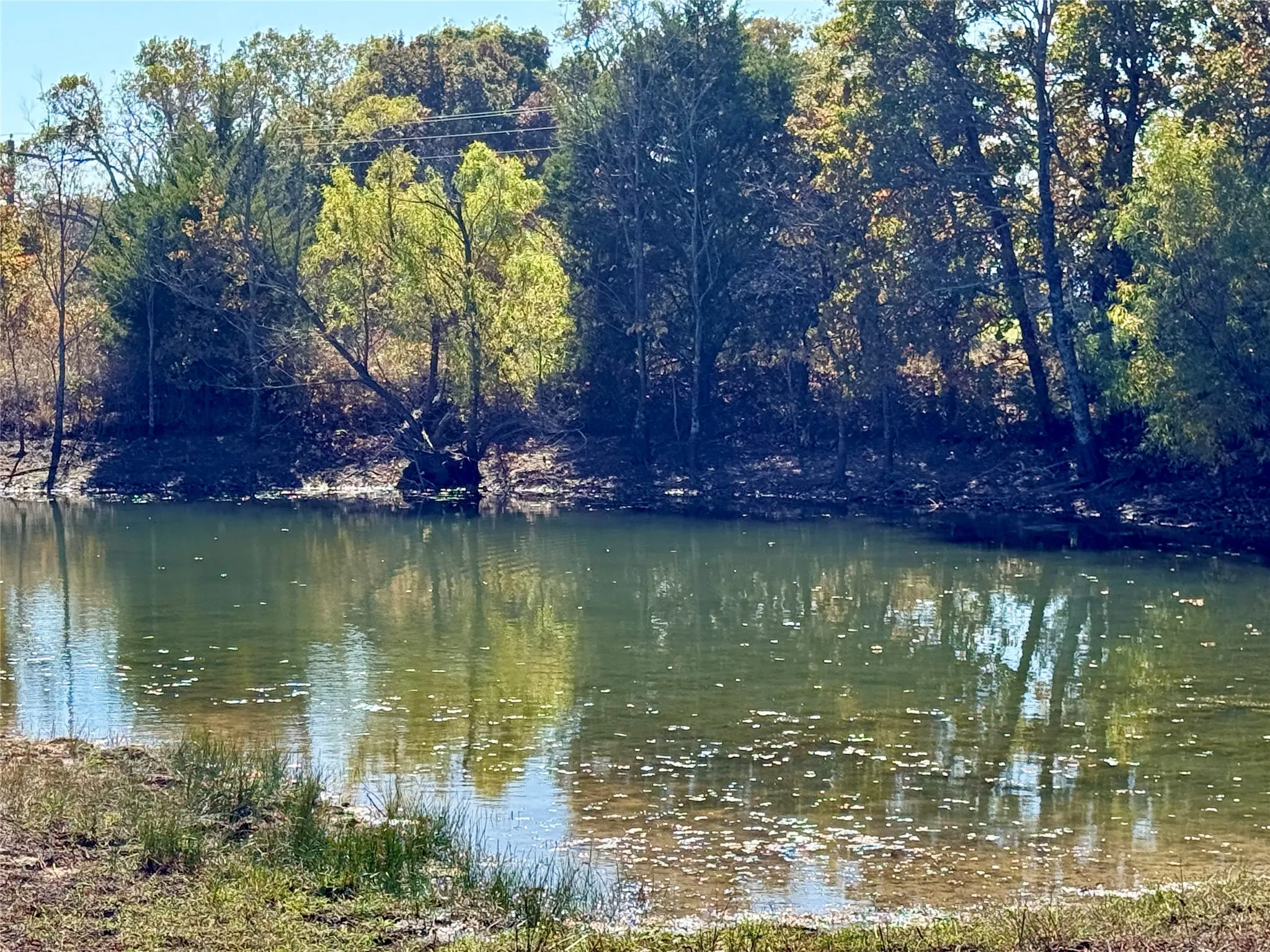 Improved Land For Sale in Montague County , 2753 Big Tree Road, Montague, Texas 76251, 0, 0, Garage spaces, 0 Sqft, built in 1960, Price $1,147,800, mls#21110770, Real Estate Agent in Montague, Homes For Sale in Montague county, Homes For Sale in Montague, Realtor in Montague Texas, Real Estate Brokerage Independent Realty Texas, Luminita Cordes Realtor