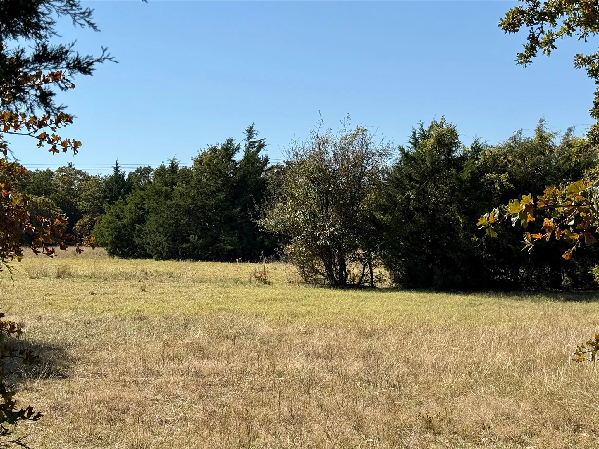 Improved Land For Sale in Montague County , 2753 Big Tree Road, Montague, Texas 76251, 0, 0, Garage spaces, 0 Sqft, built in 1960, Price $1,147,800, mls#21110770, Real Estate Agent in Montague, Homes For Sale in Montague county, Homes For Sale in Montague, Realtor in Montague Texas, Real Estate Brokerage Independent Realty Texas, Luminita Cordes Realtor