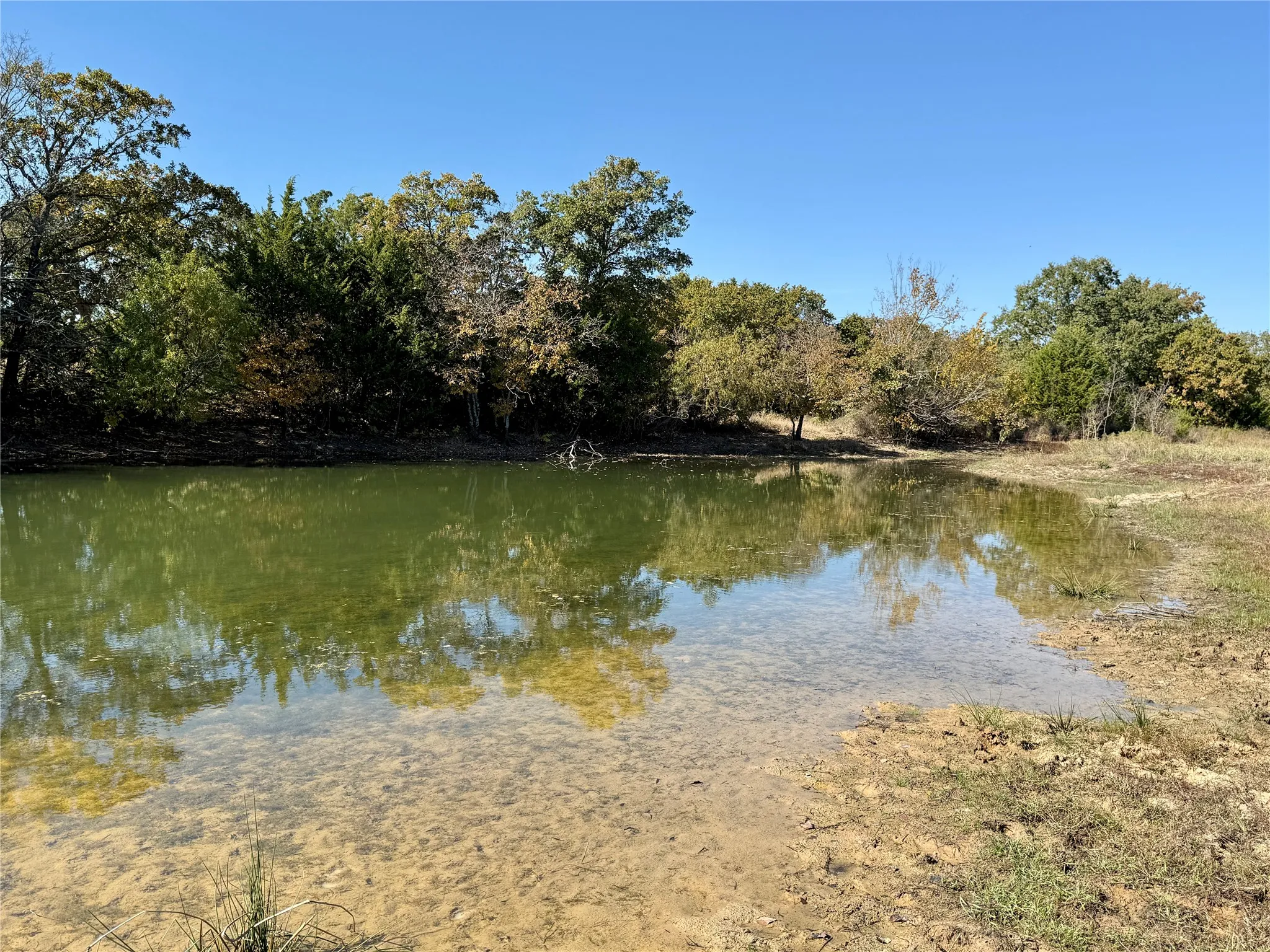Improved Land For Sale in Montague County , 2753 Big Tree Road, Montague, Texas 76251, 0, 0, Garage spaces, 0 Sqft, built in 1960, Price $1,147,800, mls#21110770, Real Estate Agent in Montague, Homes For Sale in Montague county, Homes For Sale in Montague, Realtor in Montague Texas, Real Estate Brokerage Independent Realty Texas, Luminita Cordes Realtor