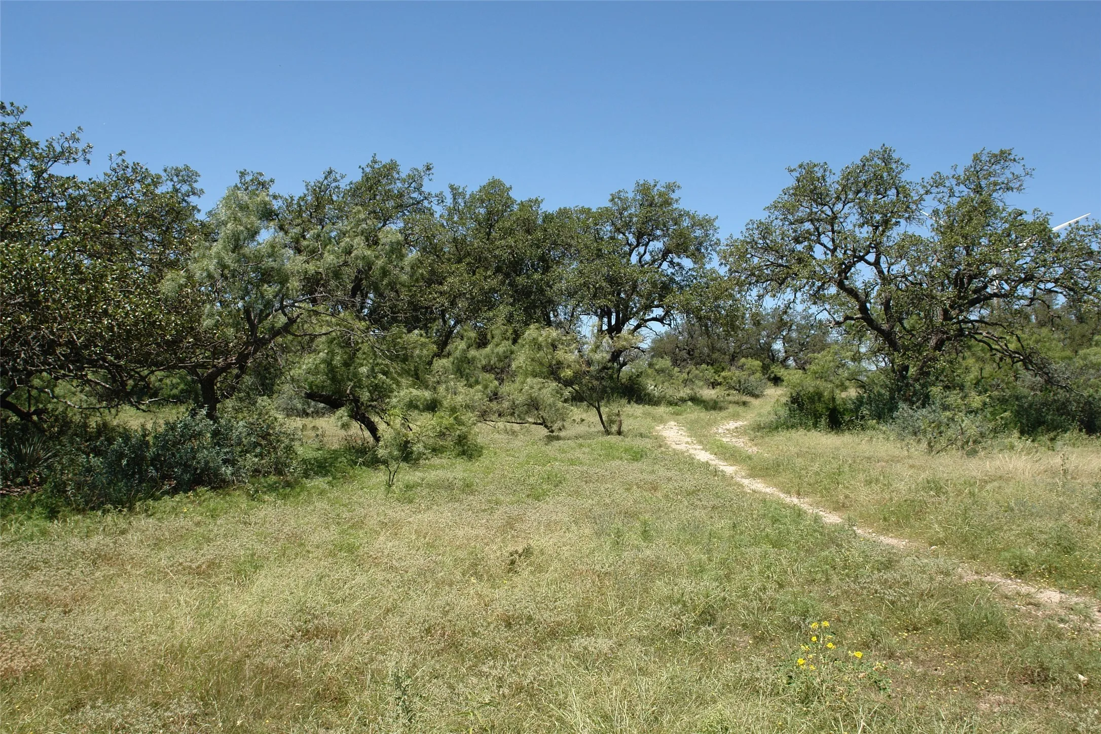 View of undeveloped land