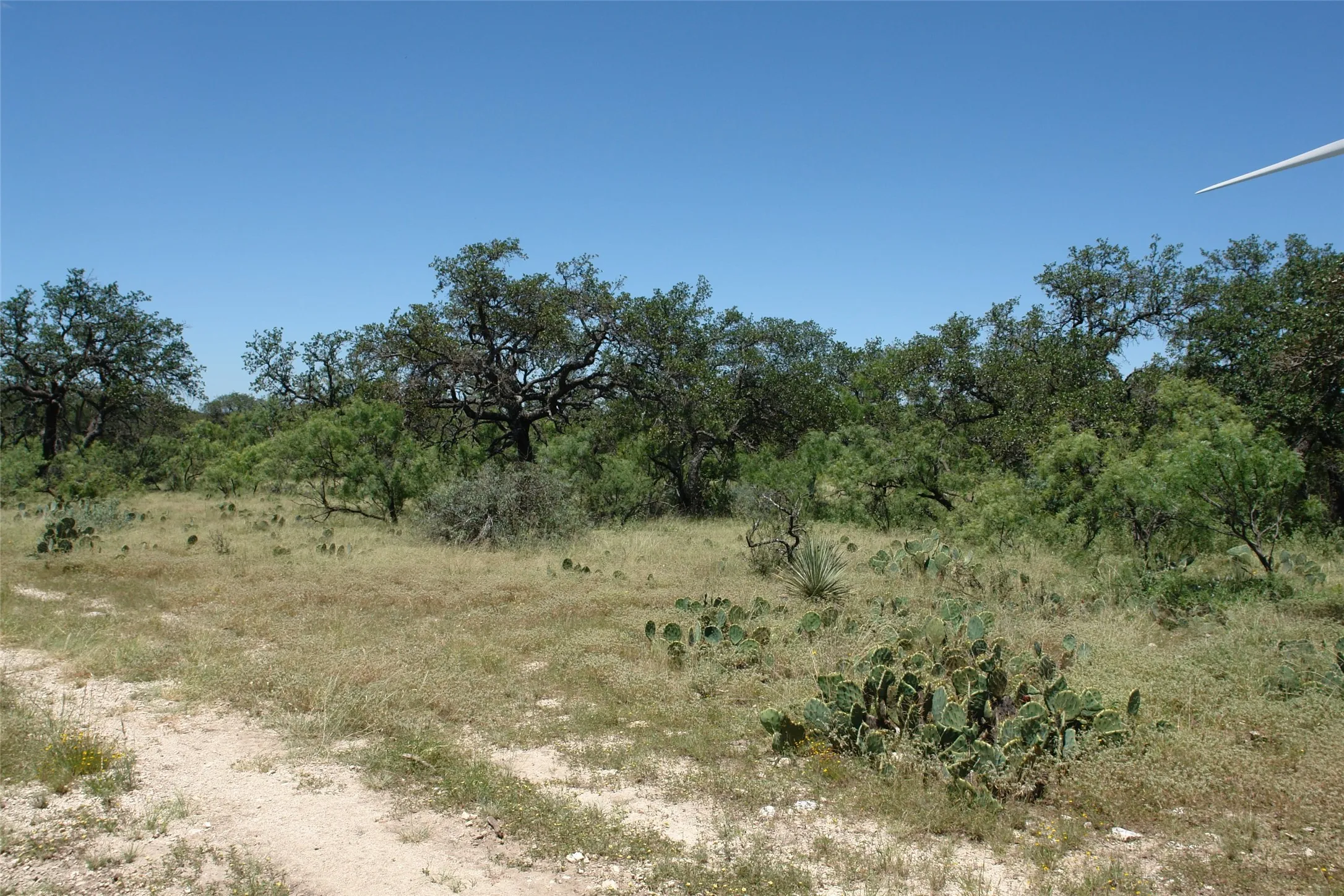 View of undeveloped land