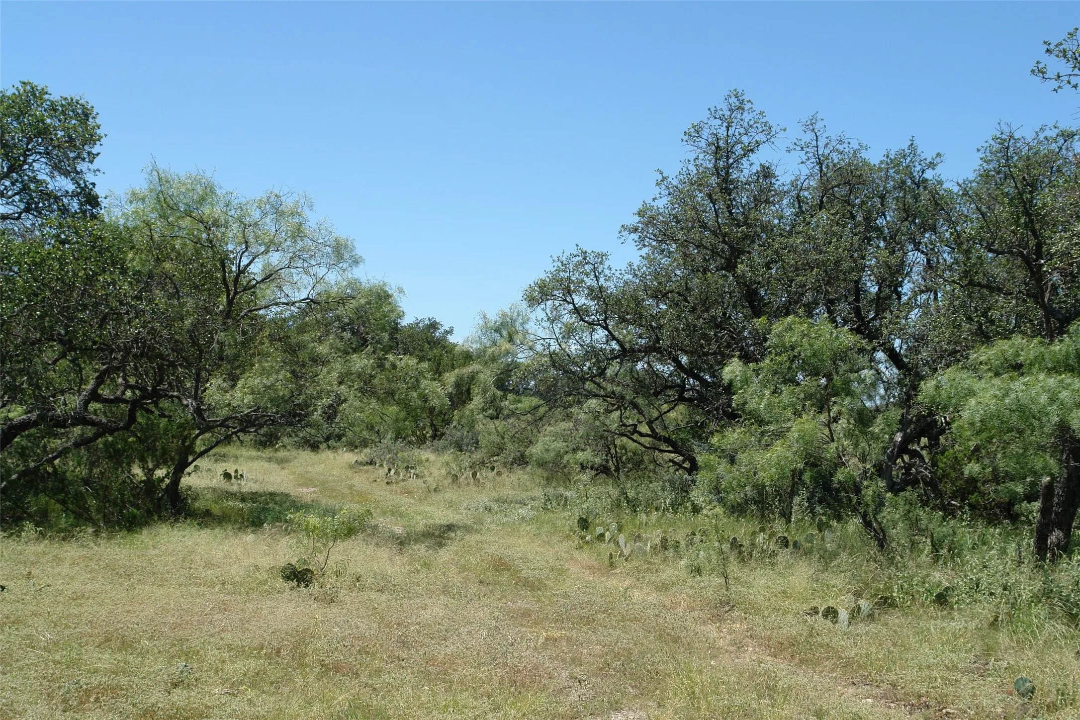 Ranch For Sale in Mc Culloch County , 0001 CR 146, Brady, Texas 76825, 0, 0, Garage spaces, 0 Sqft, built in 0, mls#21110870, Real Estate Agent in Brady, Homes For Sale in Mc Culloch county, Homes For Sale in Brady, Realtor in Brady Texas, Real Estate Brokerage Independent Realty Texas, Luminita Cordes Realtor