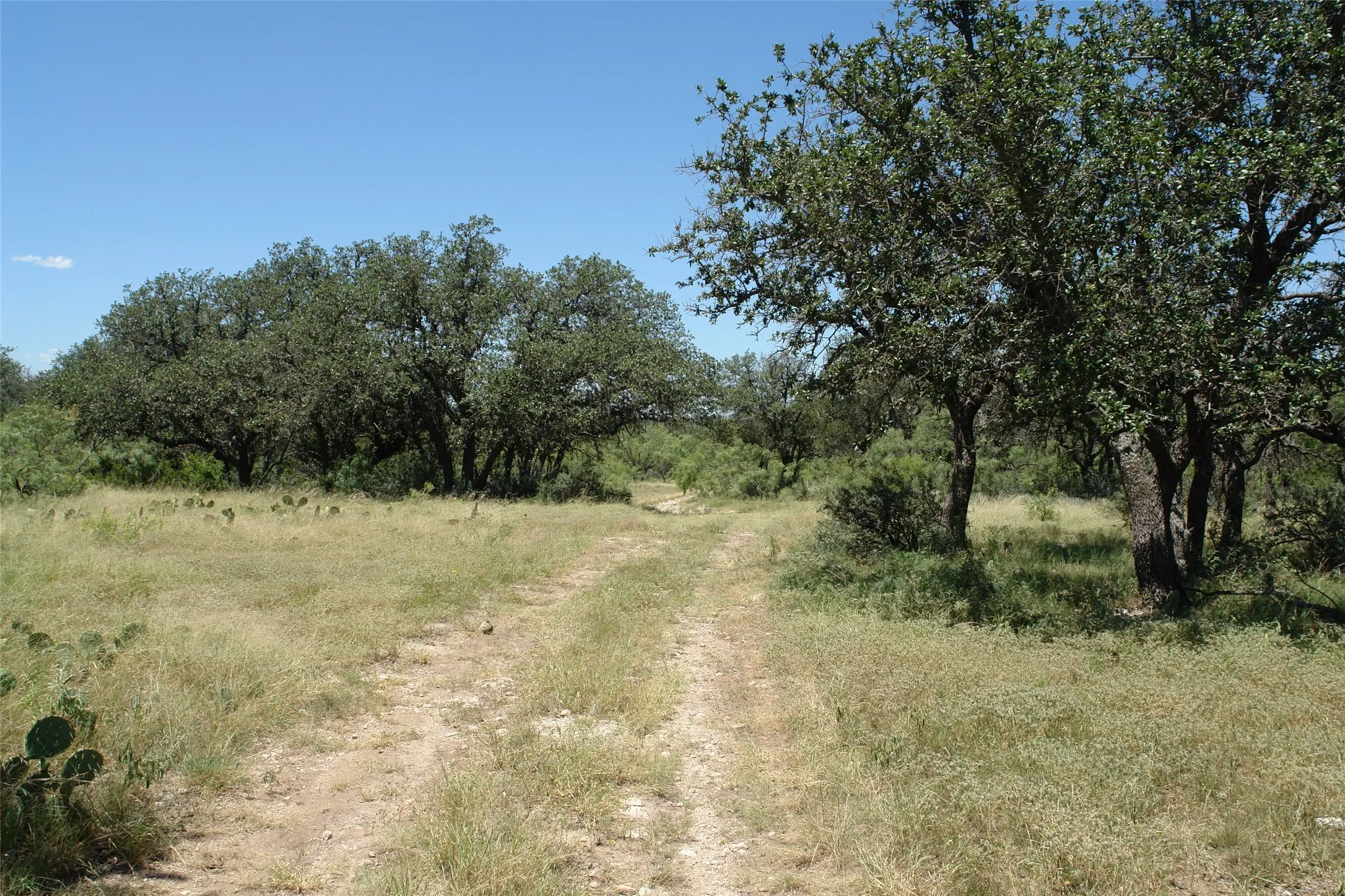 View of local wilderness with rural landscape