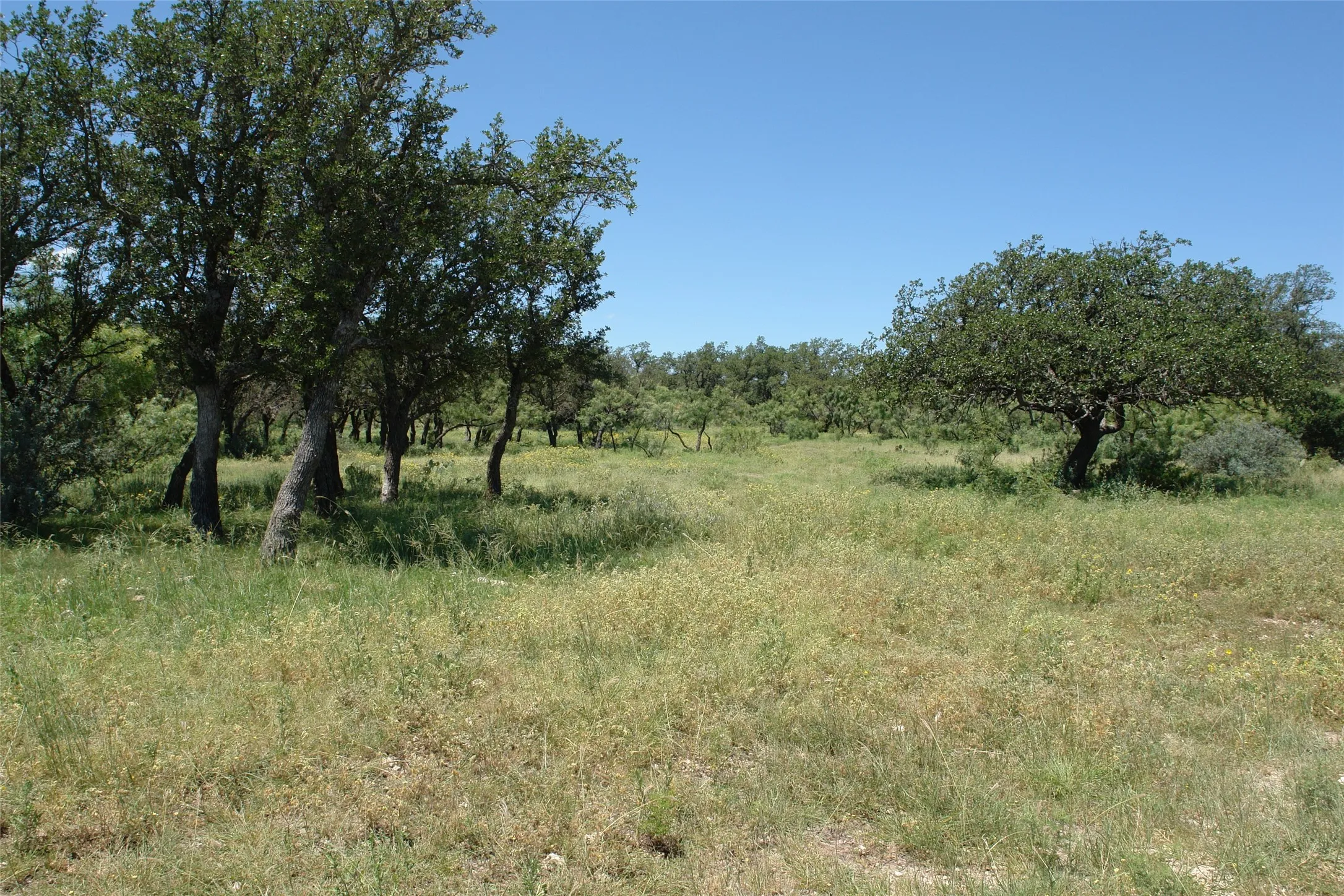 View of local wilderness