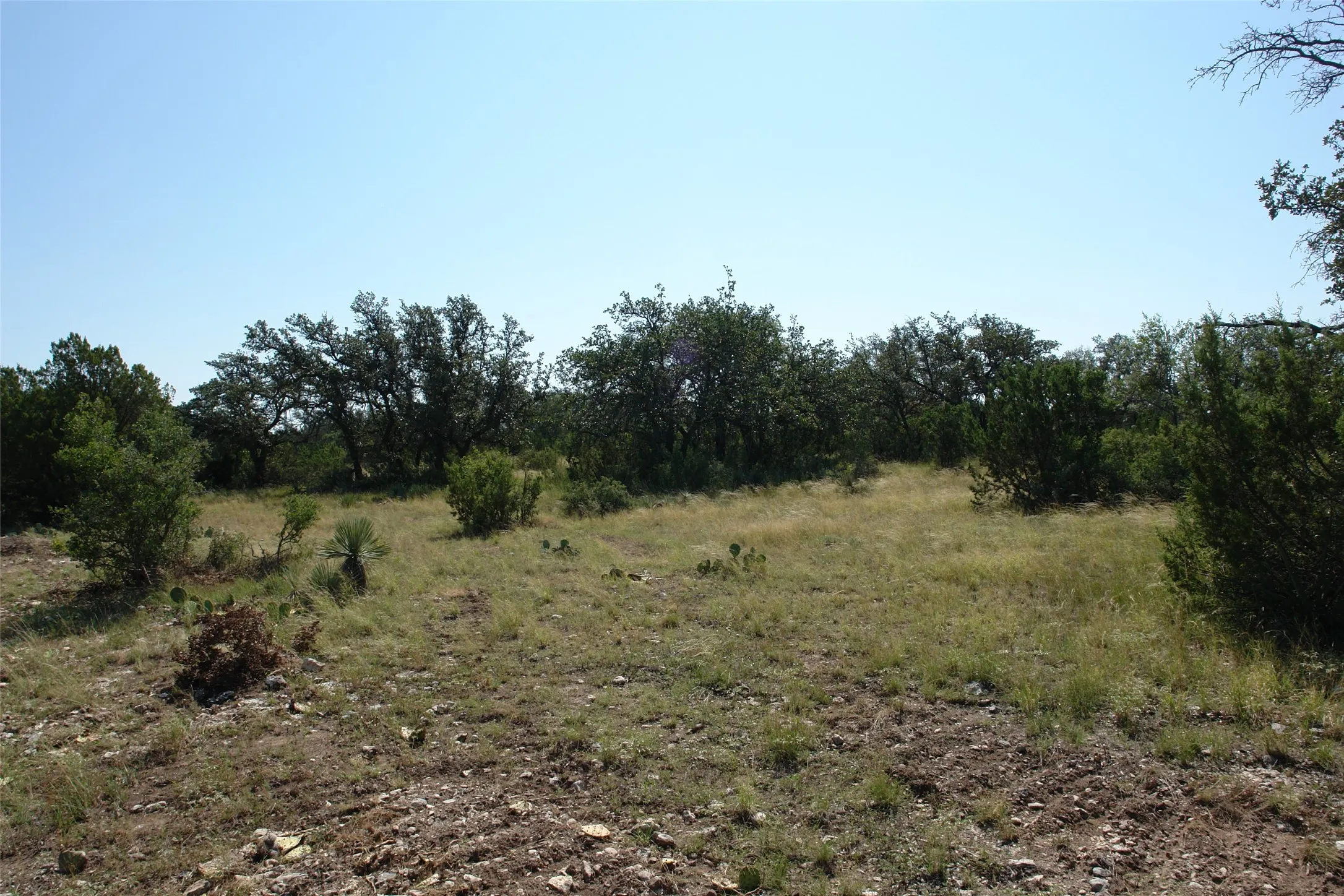 View of undeveloped land
