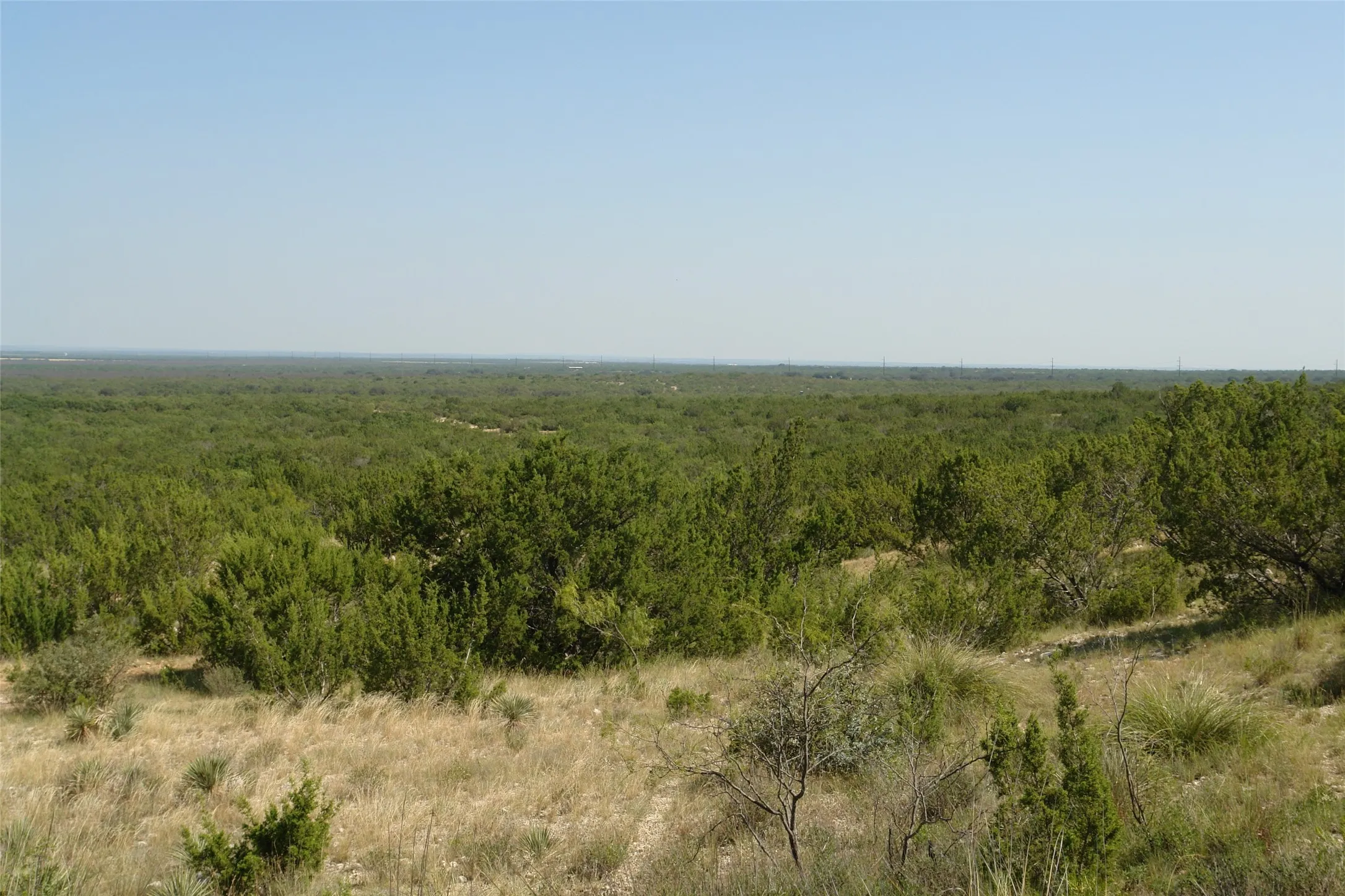 View of woods