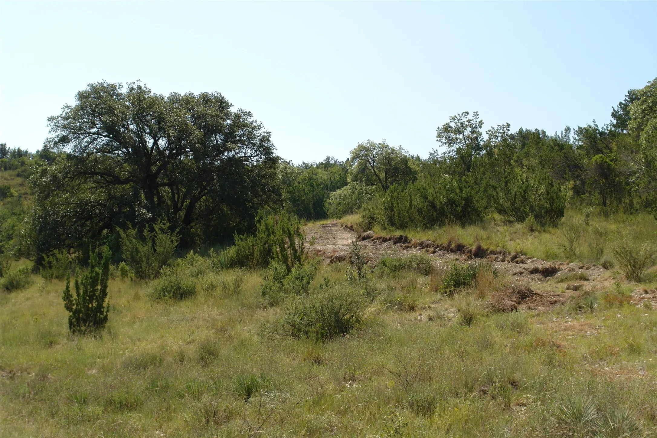 View of local wilderness