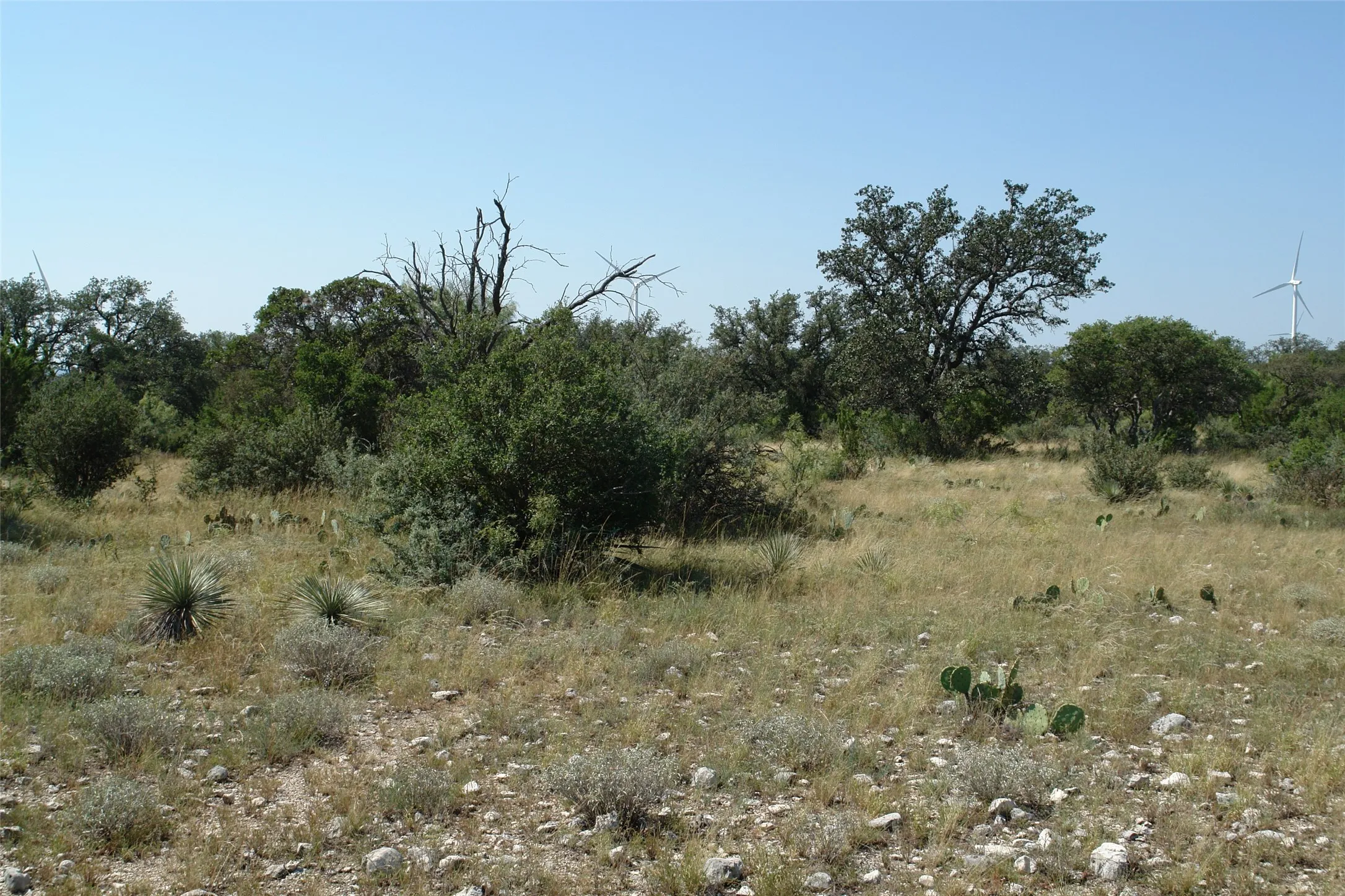 View of undeveloped land
