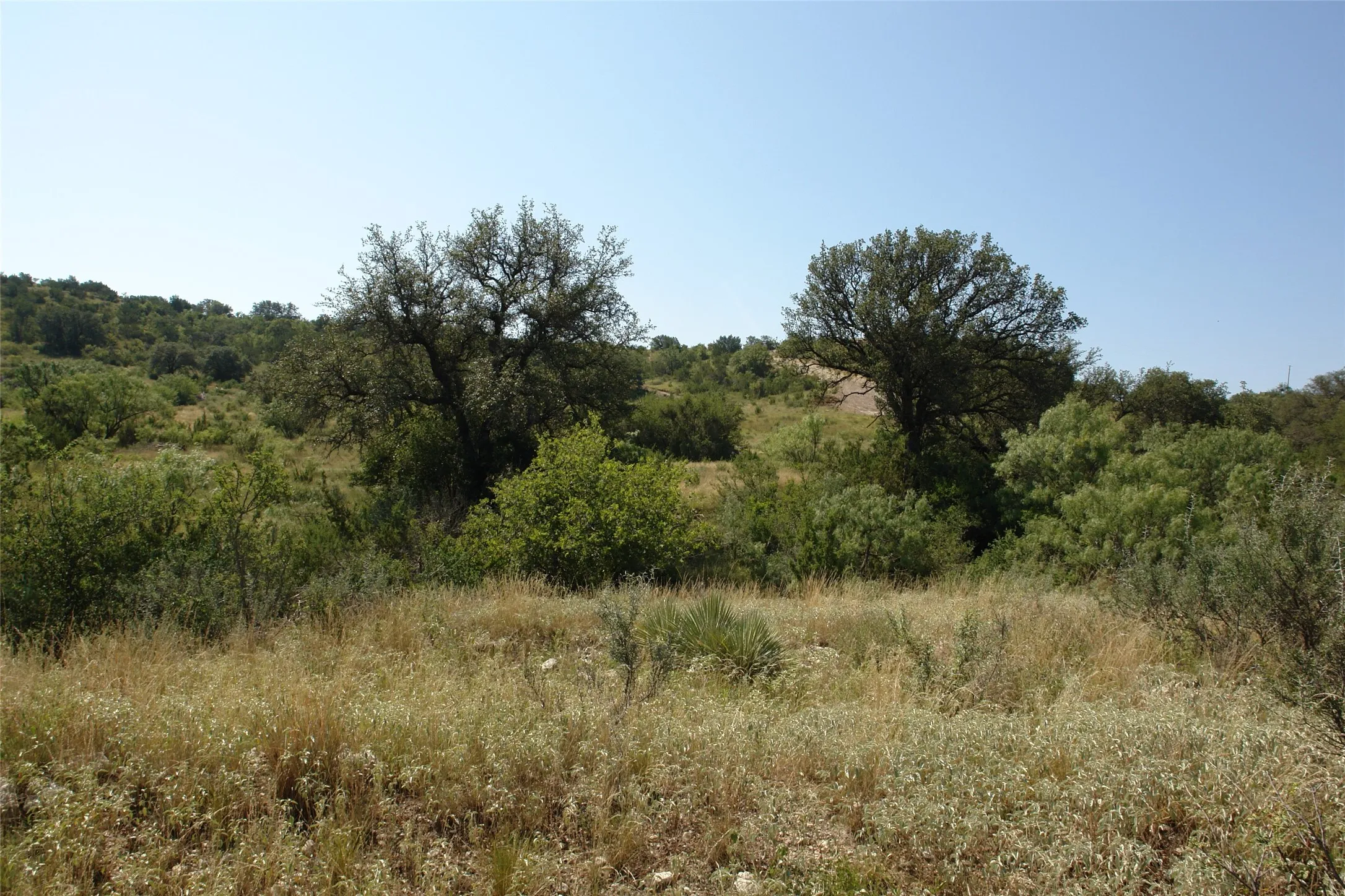 View of undeveloped land