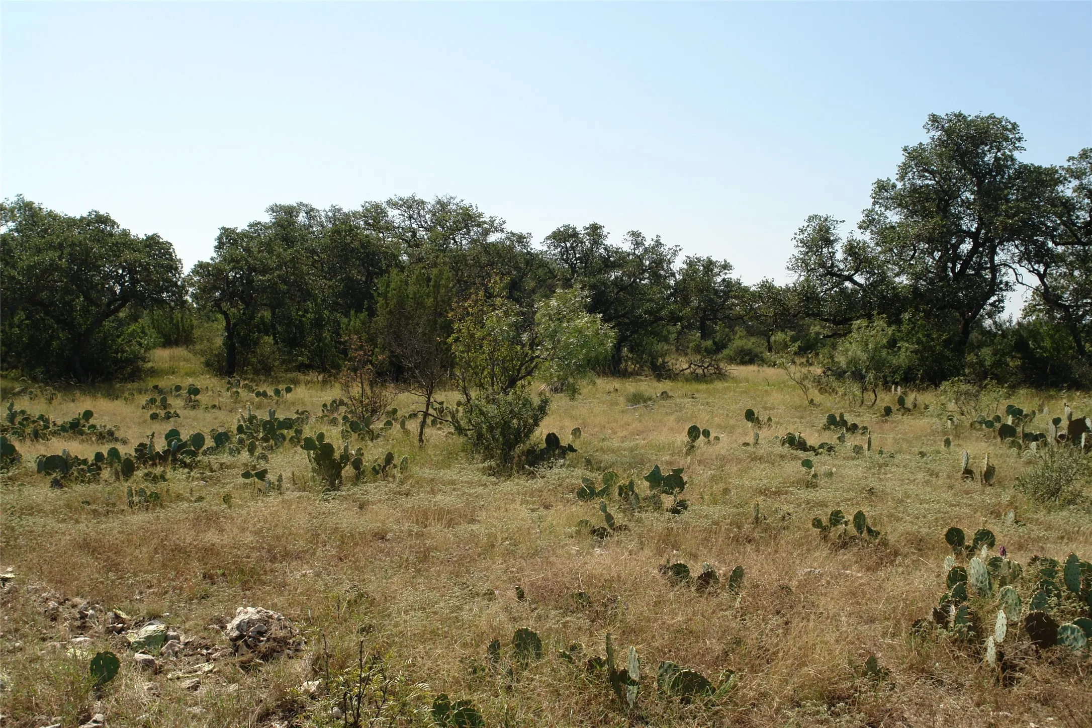 View of nature featuring rural landscape
