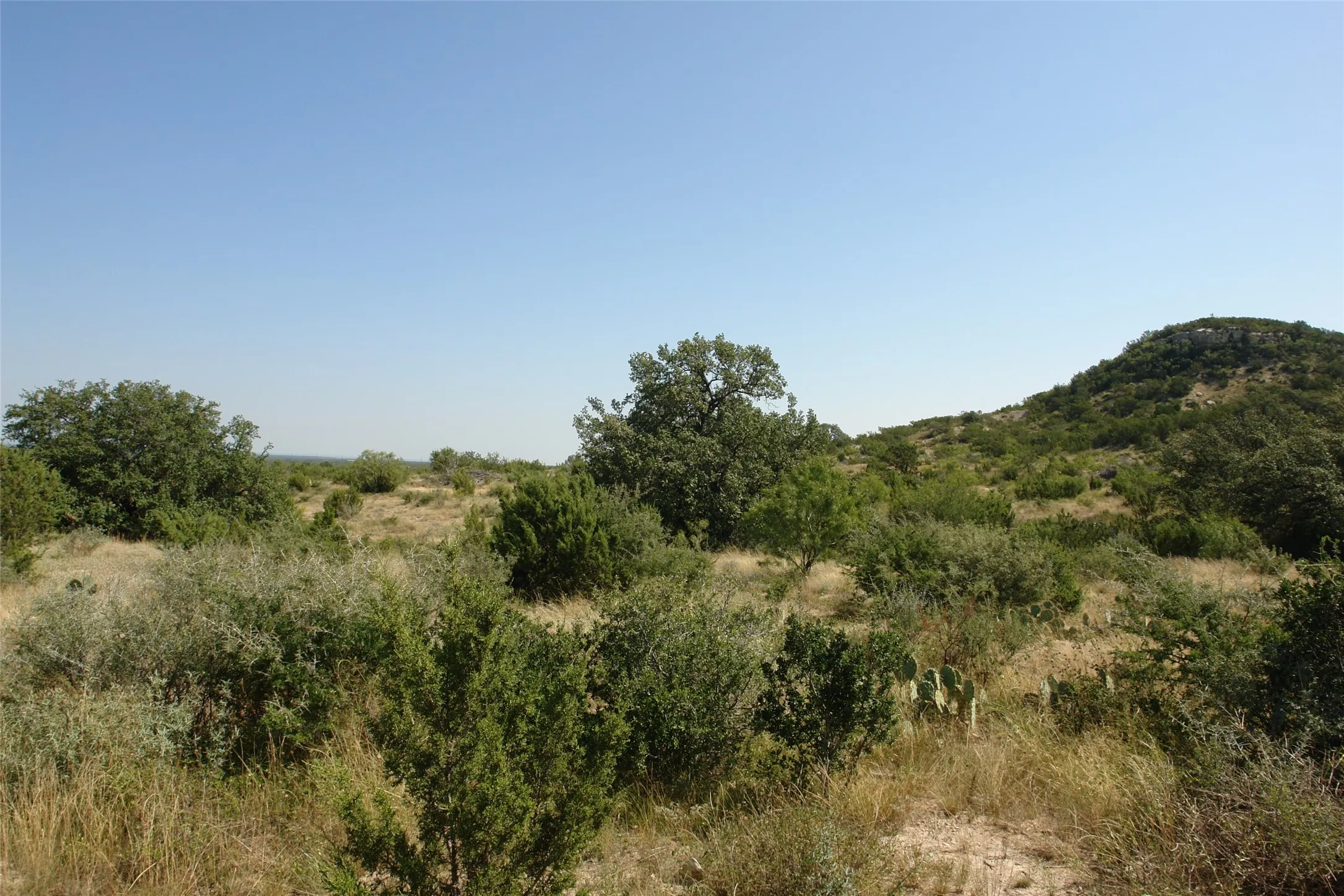 View of nature