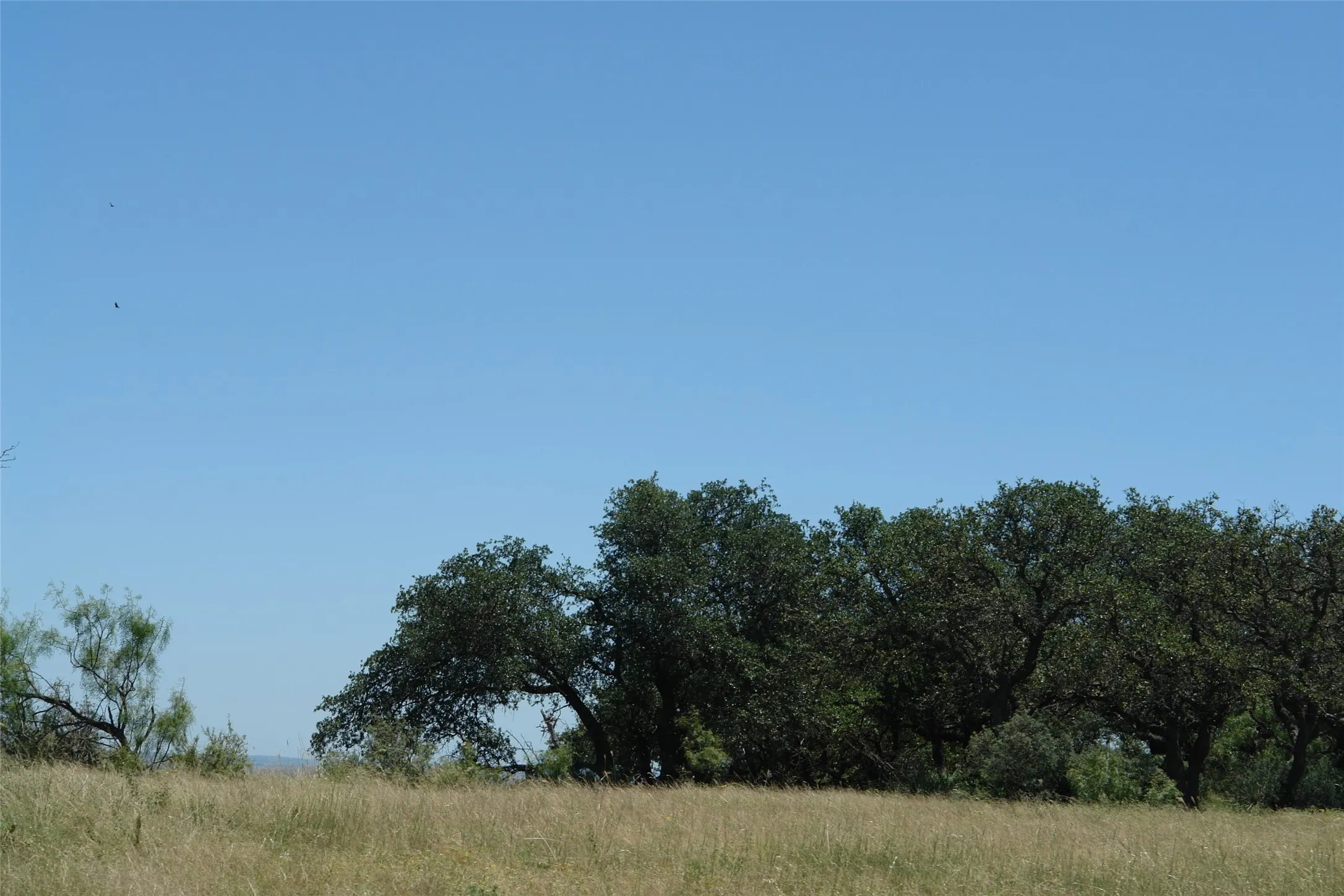 View of local wilderness with rural landscape