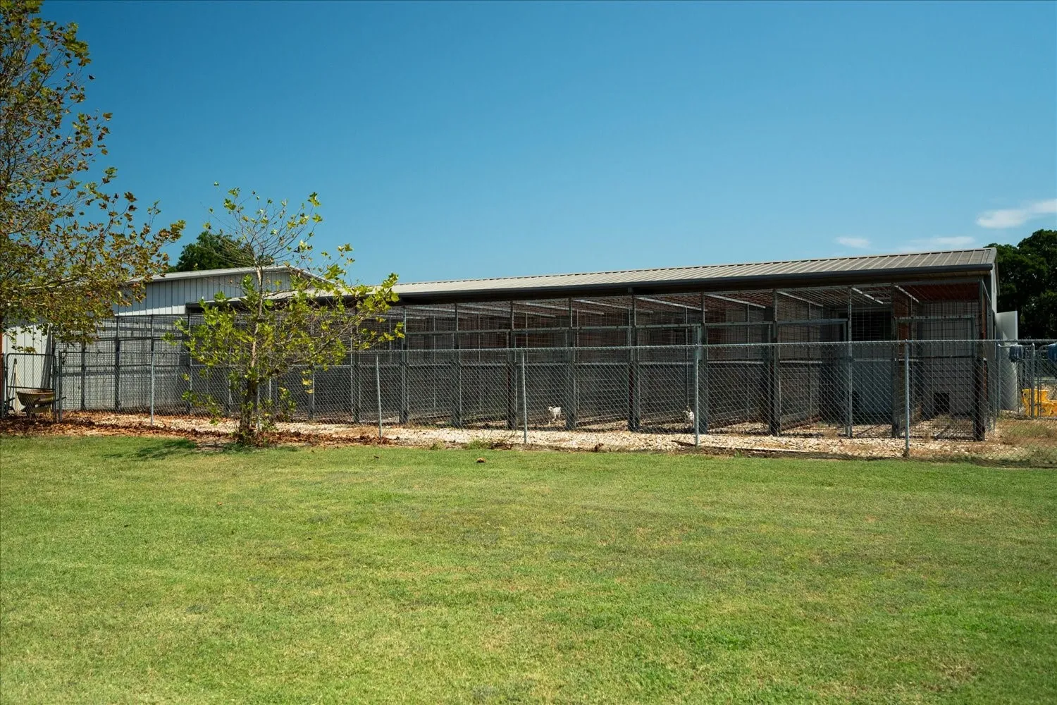 Single Family Residence For Sale in Lamar County , 695 County Road 36120 Road, Honey Grove, Texas 75446, 5 Bedrooms, 6 Bathrooms, 3 Garage spaces, 7,500 Sqft, built in 2013, Price $2,499,000, mls#21108808, Real Estate Agent in Honey Grove, Homes For Sale in Lamar county, Homes For Sale in Honey Grove, Realtor in Honey Grove Texas, Real Estate Brokerage Independent Realty Texas, Luminita Cordes Realtor