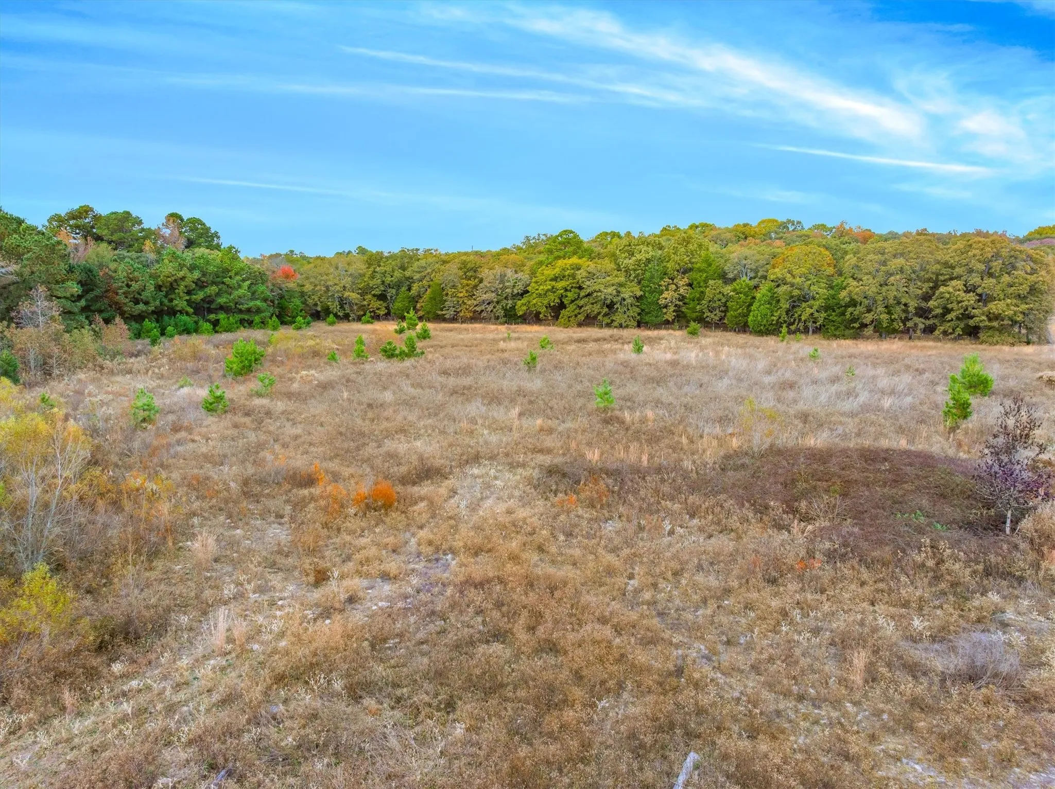 Improved Land For Sale in Wood County , TBD NW Loop 564, Mineola, Texas 75773, 0, 0, Garage spaces, 0 Sqft, built in 0, mls#21111045, Real Estate Agent in Mineola, Homes For Sale in Wood county, Homes For Sale in Mineola, Realtor in Mineola Texas, Real Estate Brokerage Independent Realty Texas, Luminita Cordes Realtor