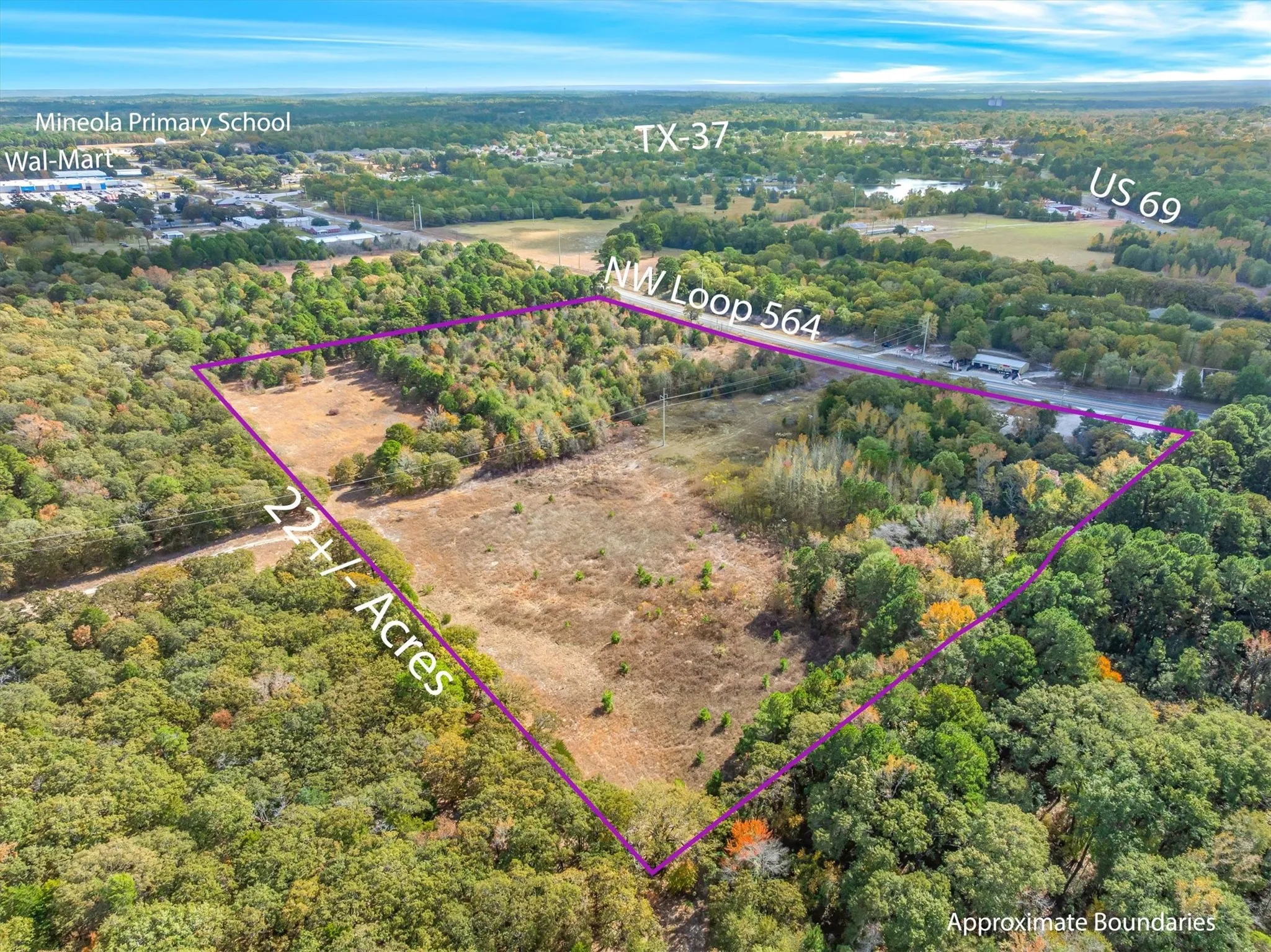 Improved Land For Sale in Wood County , TBD NW Loop 564, Mineola, Texas 75773, 0, 0, Garage spaces, 0 Sqft, built in 0, mls#21111045, Real Estate Agent in Mineola, Homes For Sale in Wood county, Homes For Sale in Mineola, Realtor in Mineola Texas, Real Estate Brokerage Independent Realty Texas, Luminita Cordes Realtor