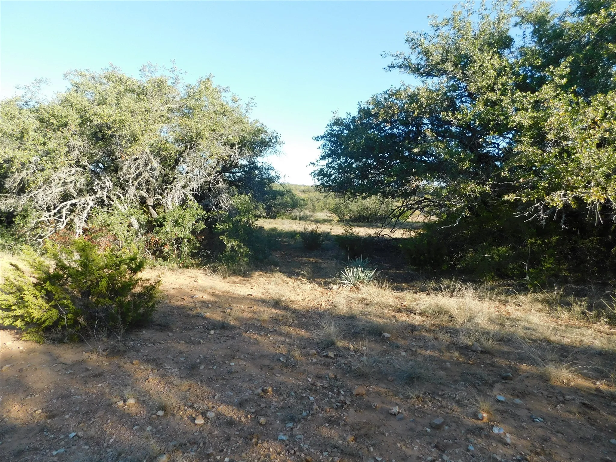 View of undeveloped land