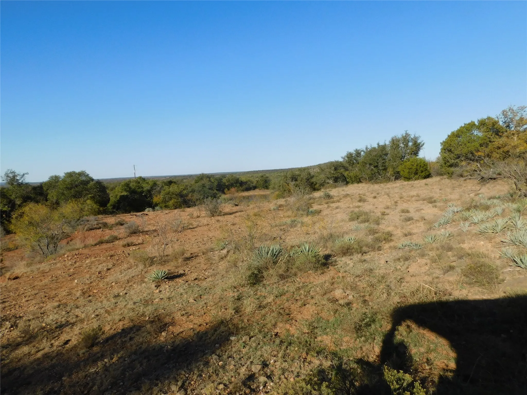 View of local wilderness featuring rural landscape