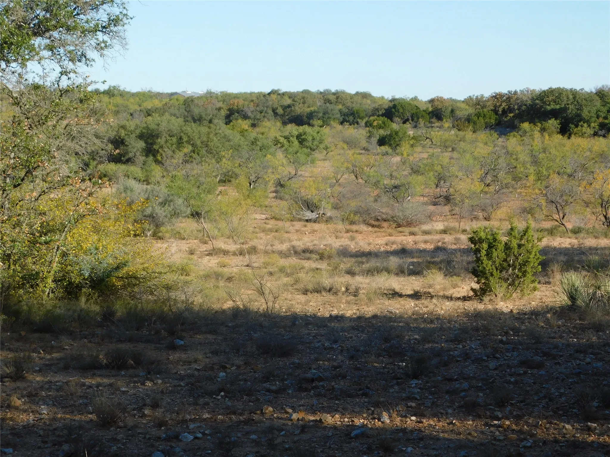 View of nature