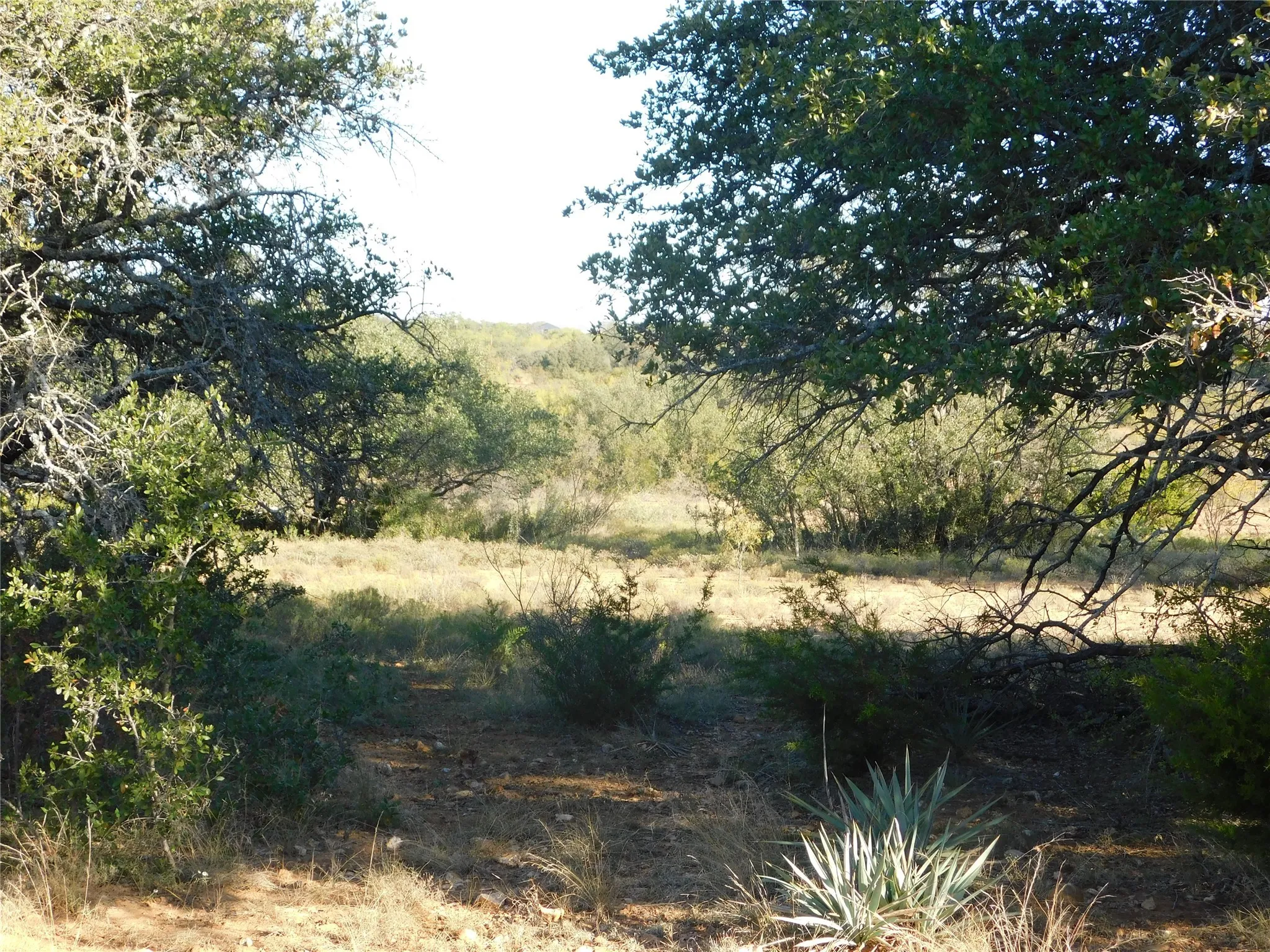 View of nature