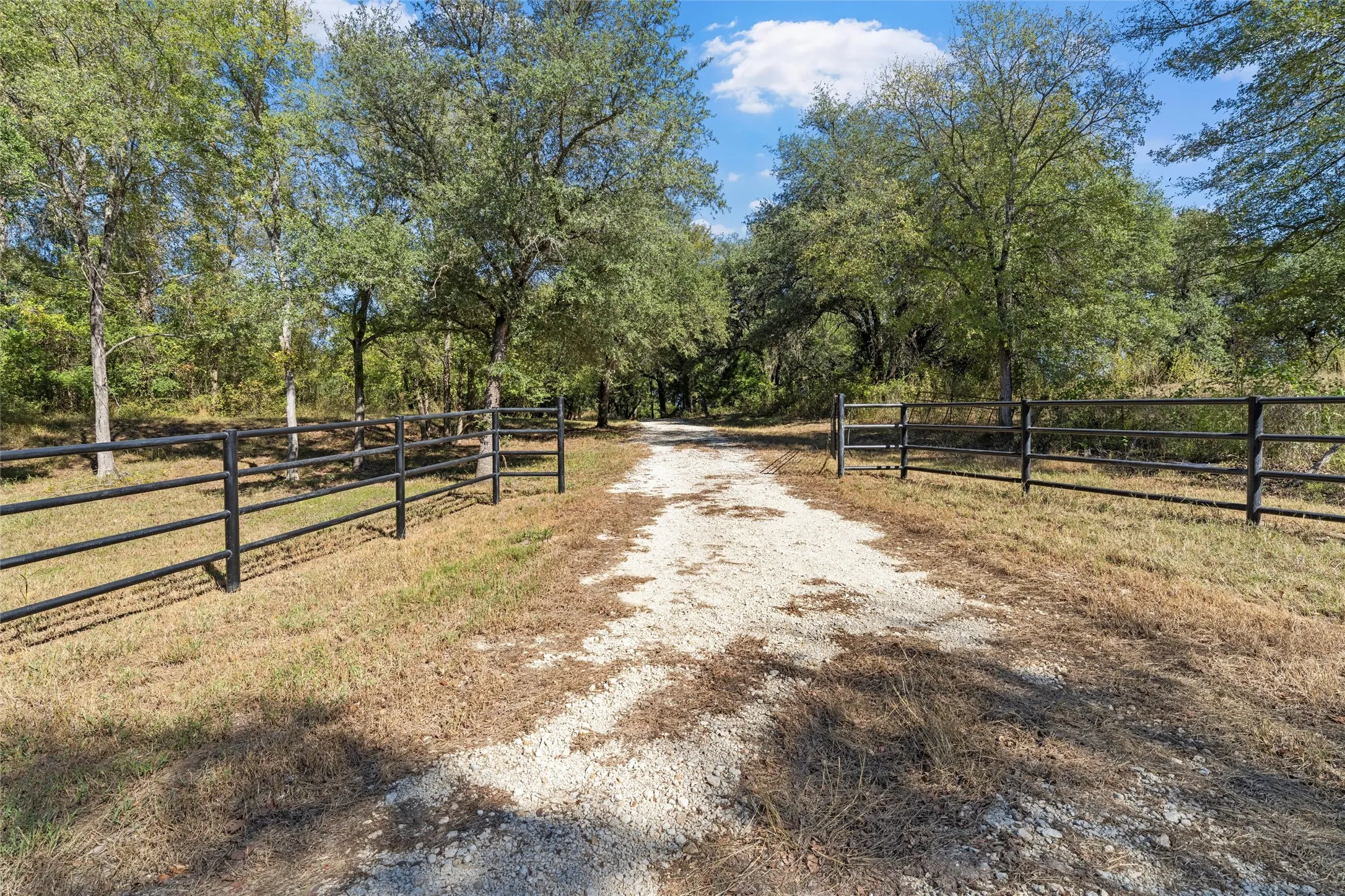 Farm For Sale in Falls County , 684 County Road 473, Lott, Texas 76656, 3 Bedroom, 2 Bathroom, 4 Garage spaces, 2,840 Sqft, built in 2020, mls#21110353, Real Estate Agent in Lott, Homes For Sale in Falls county, Homes For Sale in Lott, Realtor in Lott Texas, Real Estate Brokerage Independent Realty Texas, Luminita Cordes Realtor