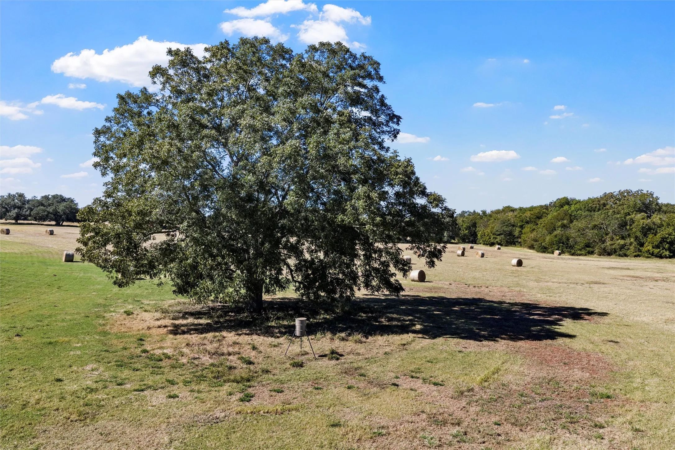Farm For Sale in Falls County , 684 County Road 473, Lott, Texas 76656, 3 Bedroom, 2 Bathroom, 4 Garage spaces, 2,840 Sqft, built in 2020, mls#21110353, Real Estate Agent in Lott, Homes For Sale in Falls county, Homes For Sale in Lott, Realtor in Lott Texas, Real Estate Brokerage Independent Realty Texas, Luminita Cordes Realtor
