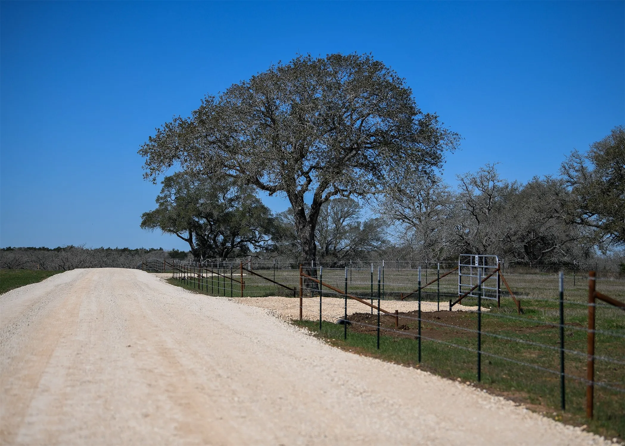 View of dirt / gravel road with a view of rural / pastoral area and a gate